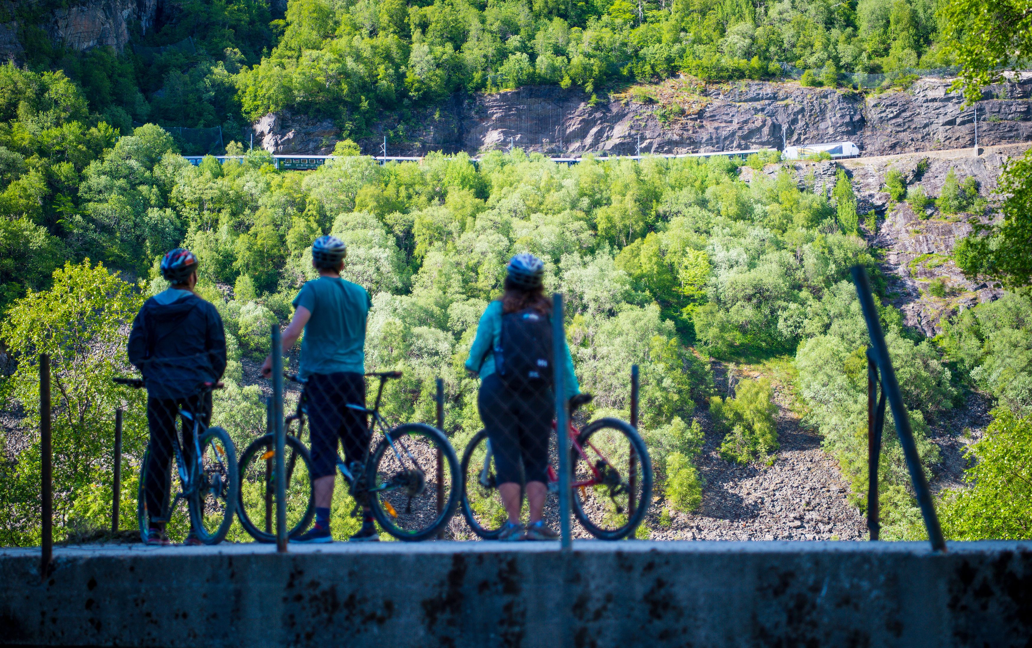 Sykkeltur Flåmsdalen
