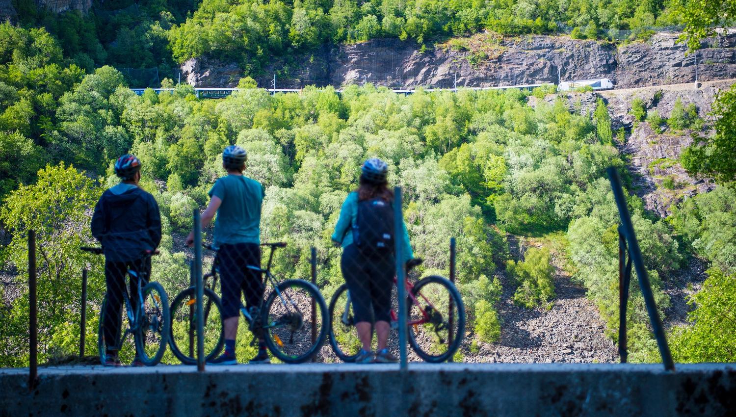 Sykkeltur Flåmsdalen
