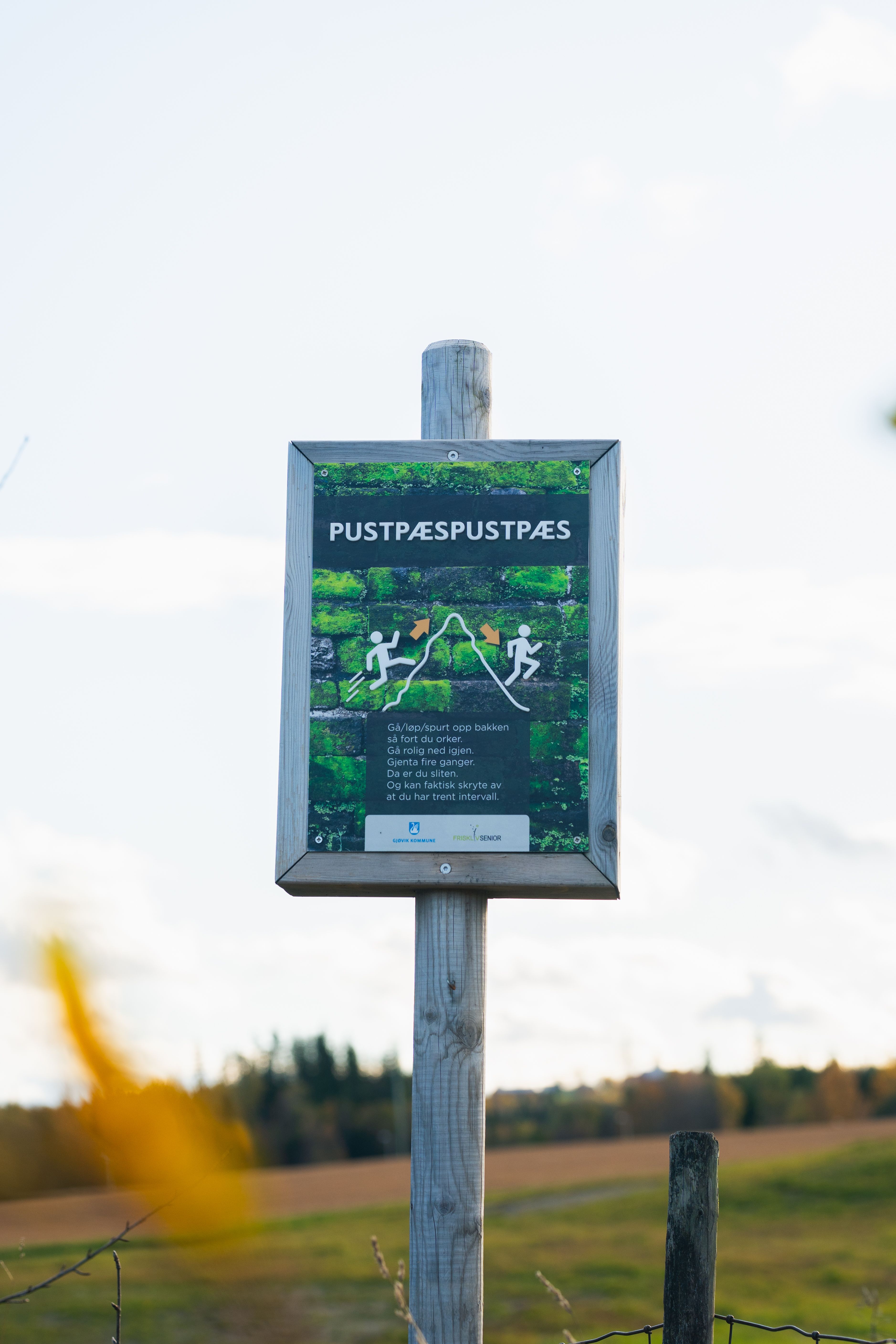 Sjeip up løype fra Vind - et lavterskel turforslag på Gjøvik