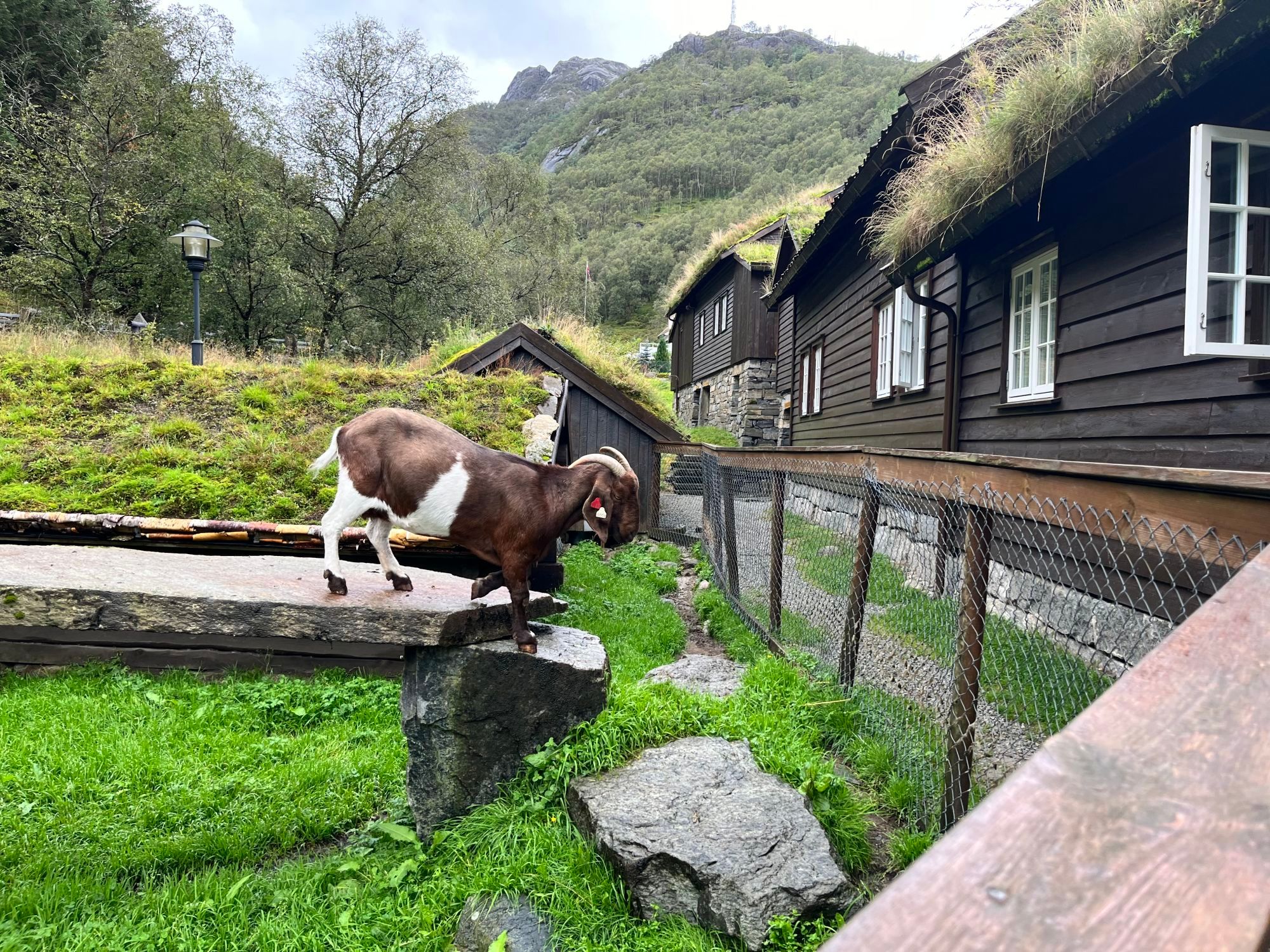 Fjord Hikes Stavanger Day trip