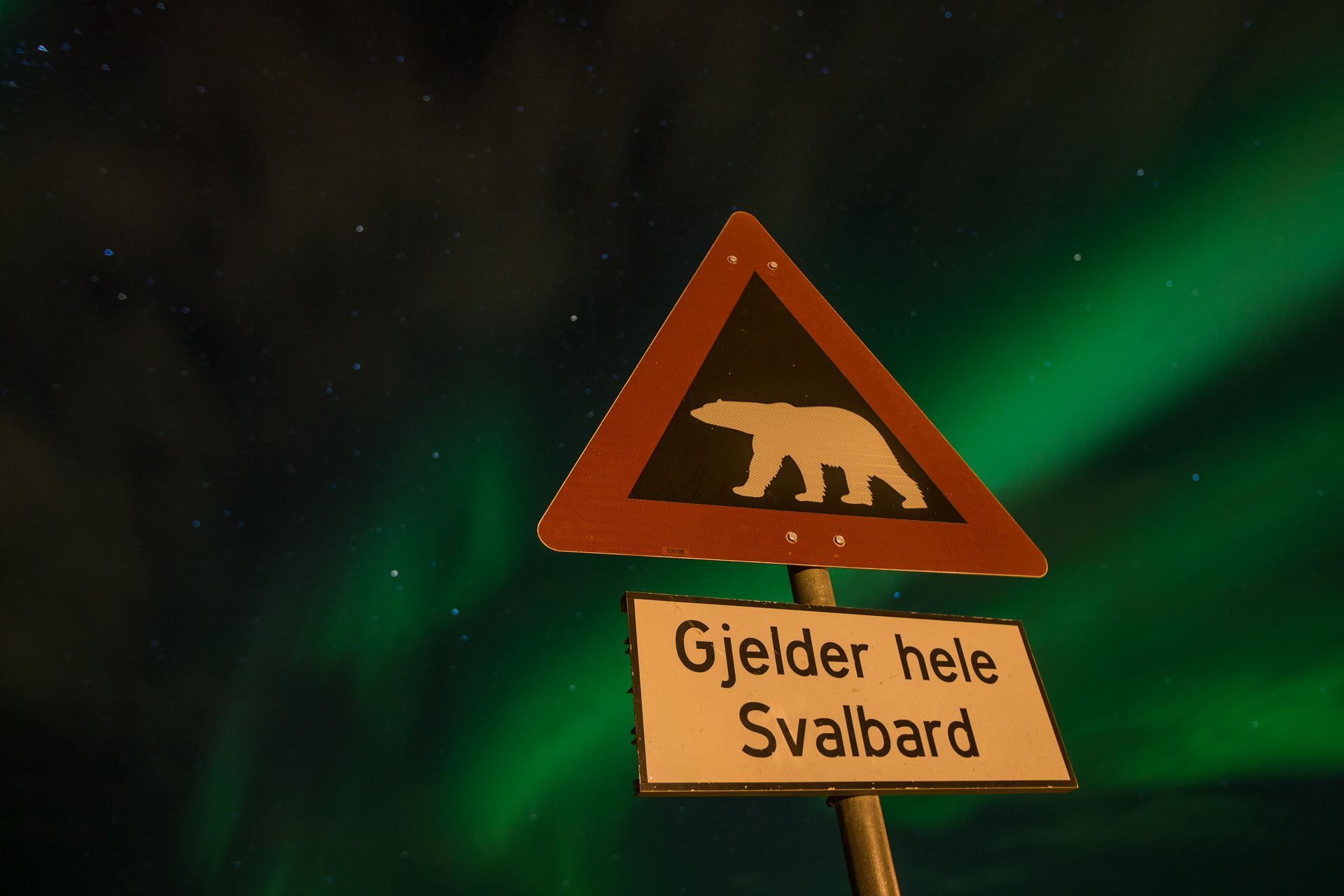 Et isbjørnfare-skilt i forgrunnen med nordlys på himmelen i bakgrunnen