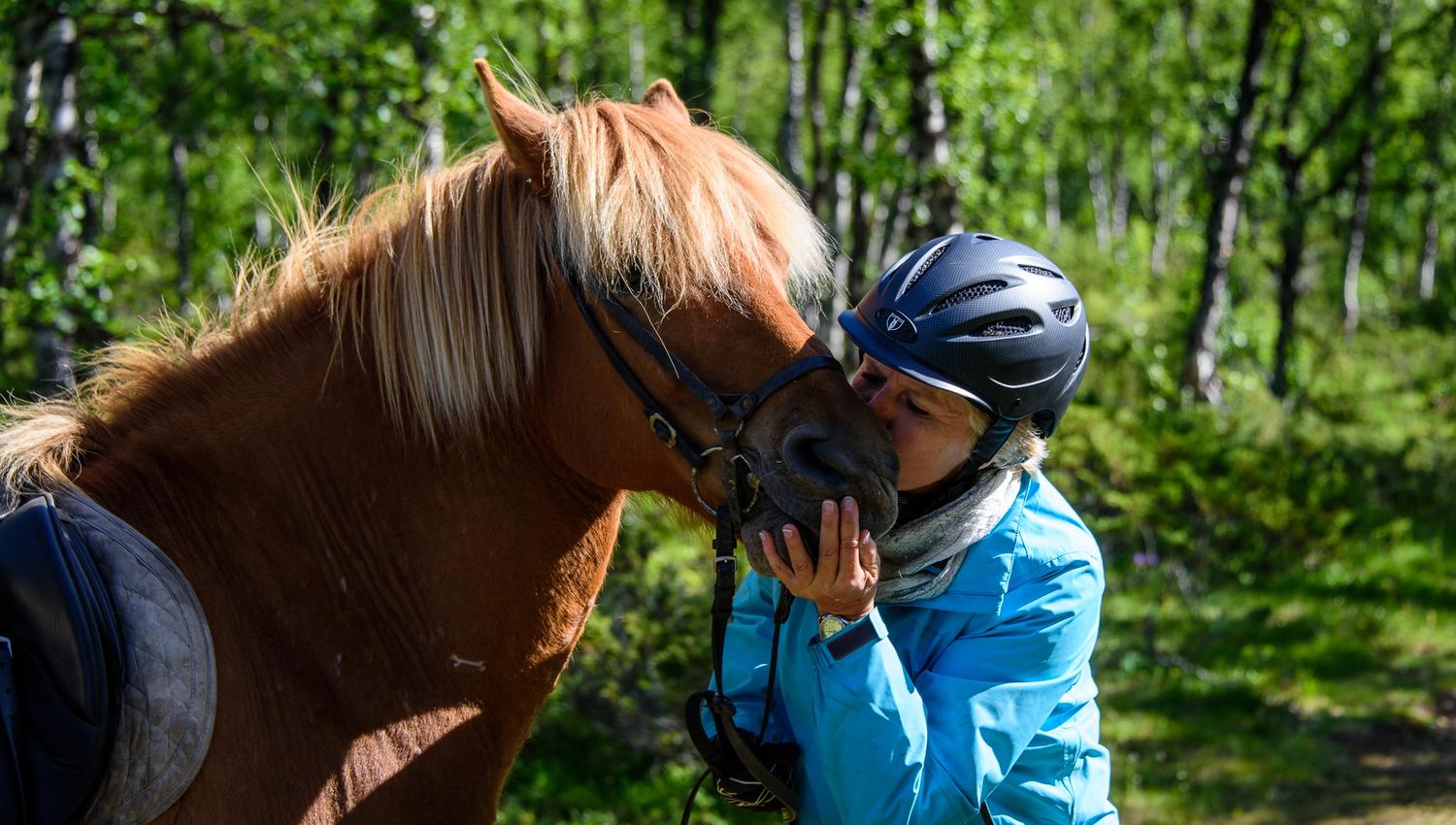 _IB81523-IanBrodie-VisitLillehammer