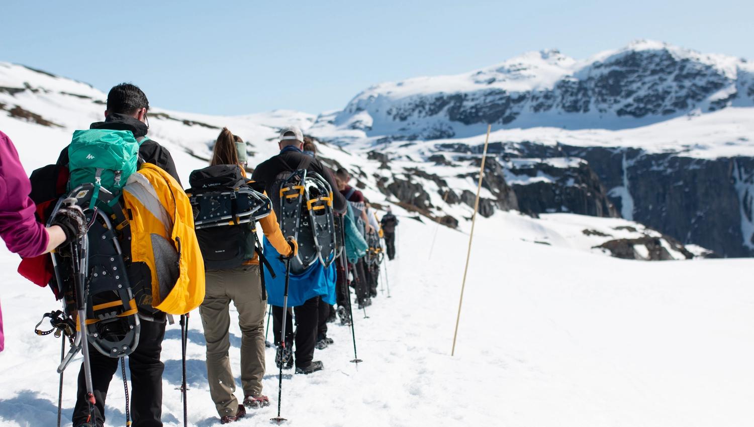 En gruppe mennesker på Trolltunga trugetur på vinteren.