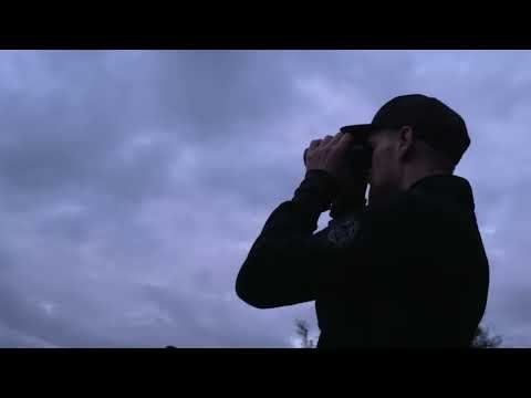 Elgsafari: Møt skogens konge!