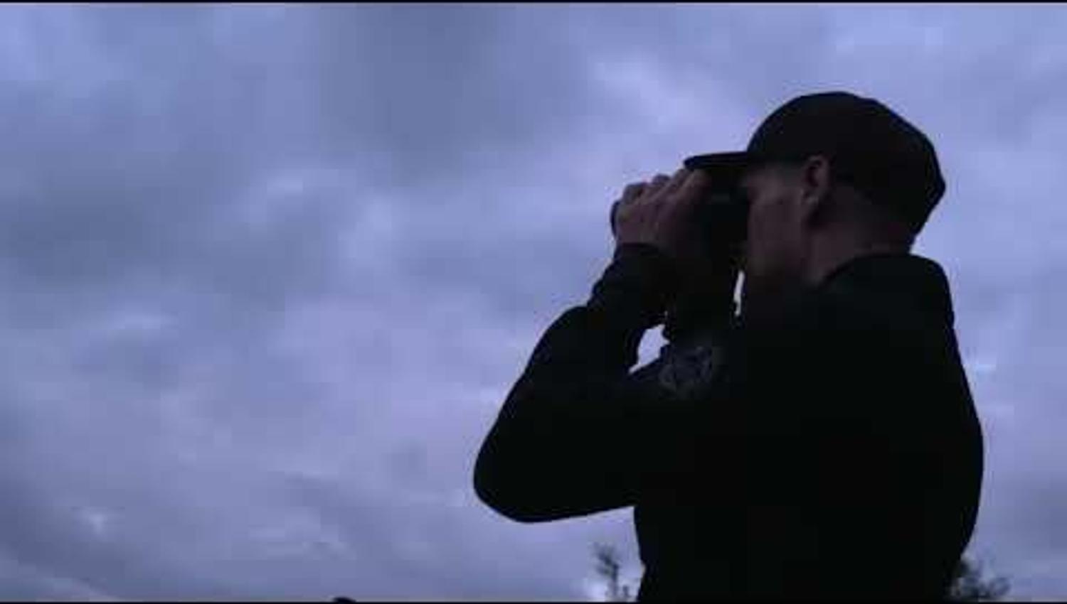 Elgsafari: Møt skogens konge!
