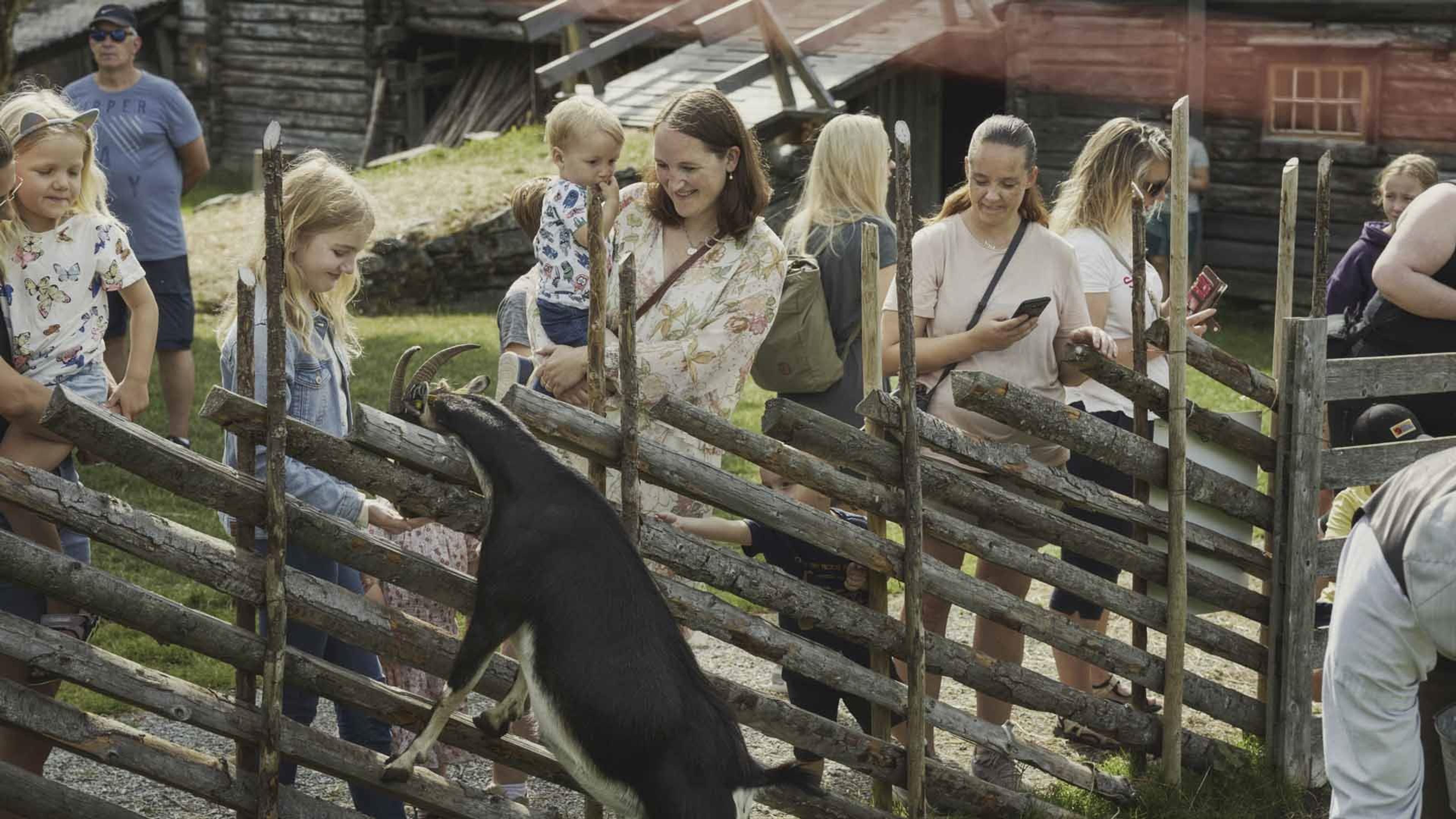 Sverresborg Trøndelag Folk Museum