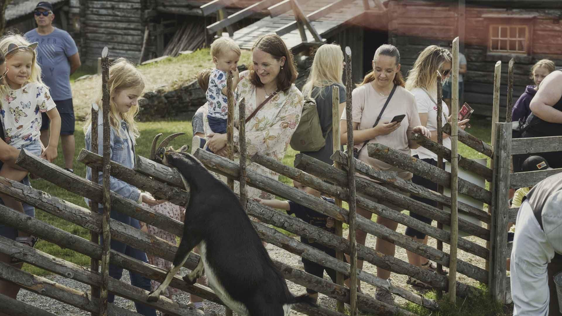 Sverresborg Trøndelag Folkemuseum
