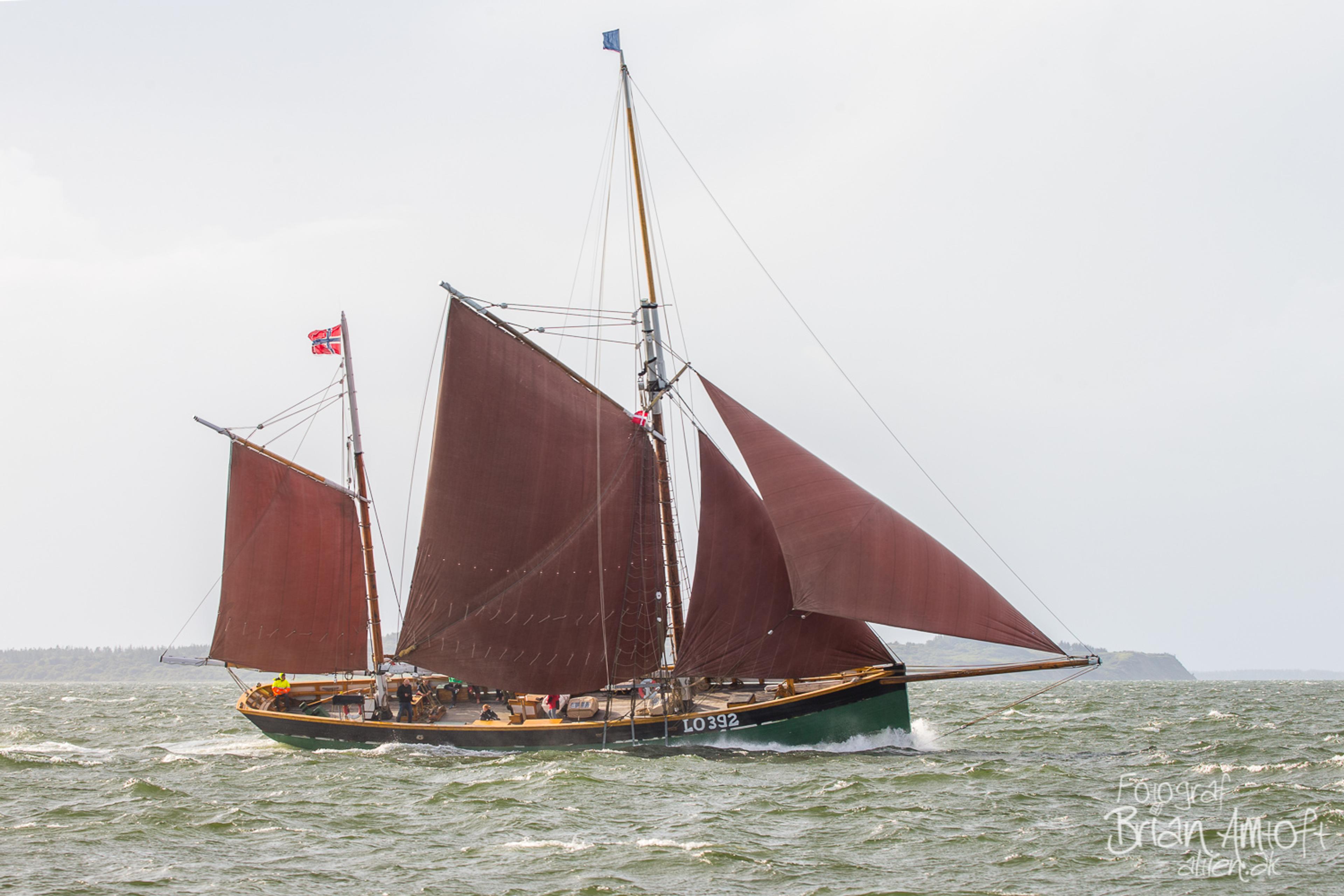 Cruise with sailing cutter Boy Leslie