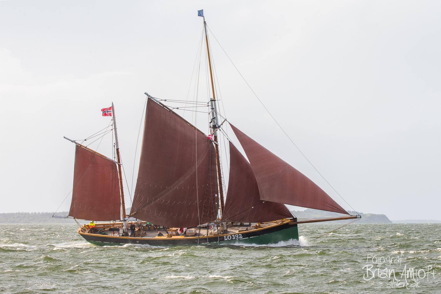 Cruise with sailing cutter Boy Leslie