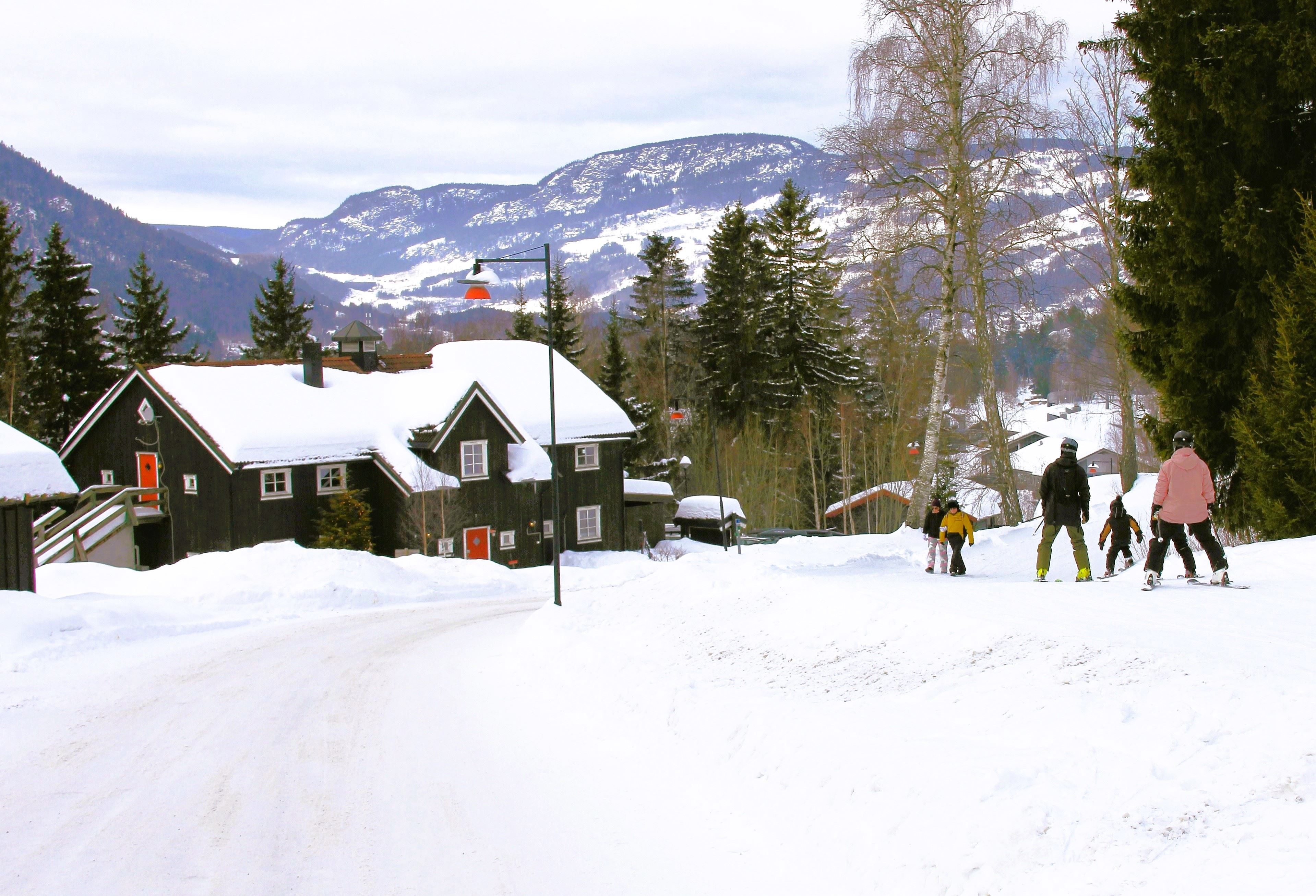 A group of people skiing in the snow.