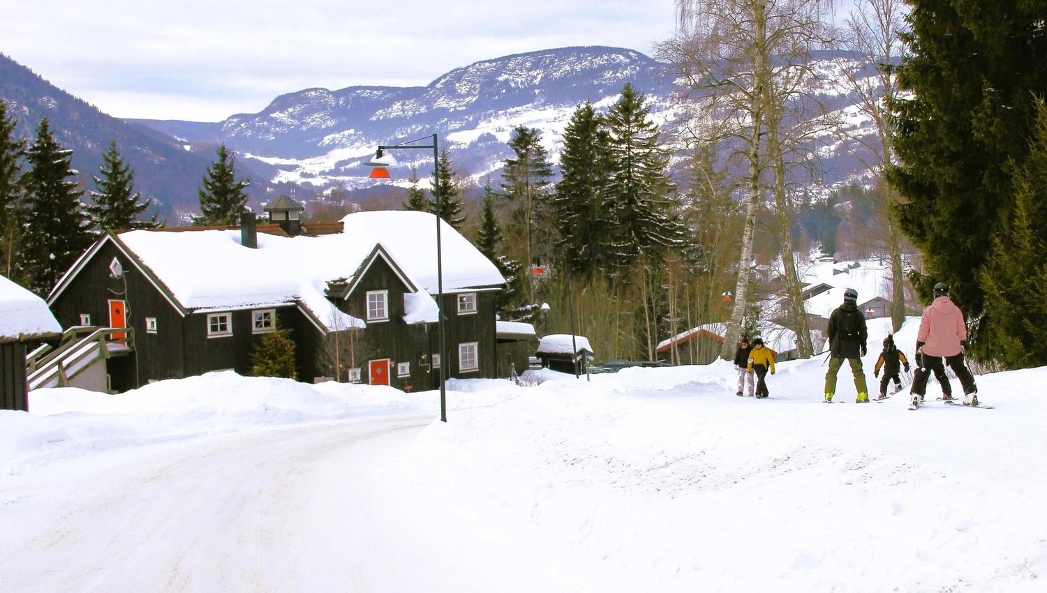A group of people skiing in the snow.