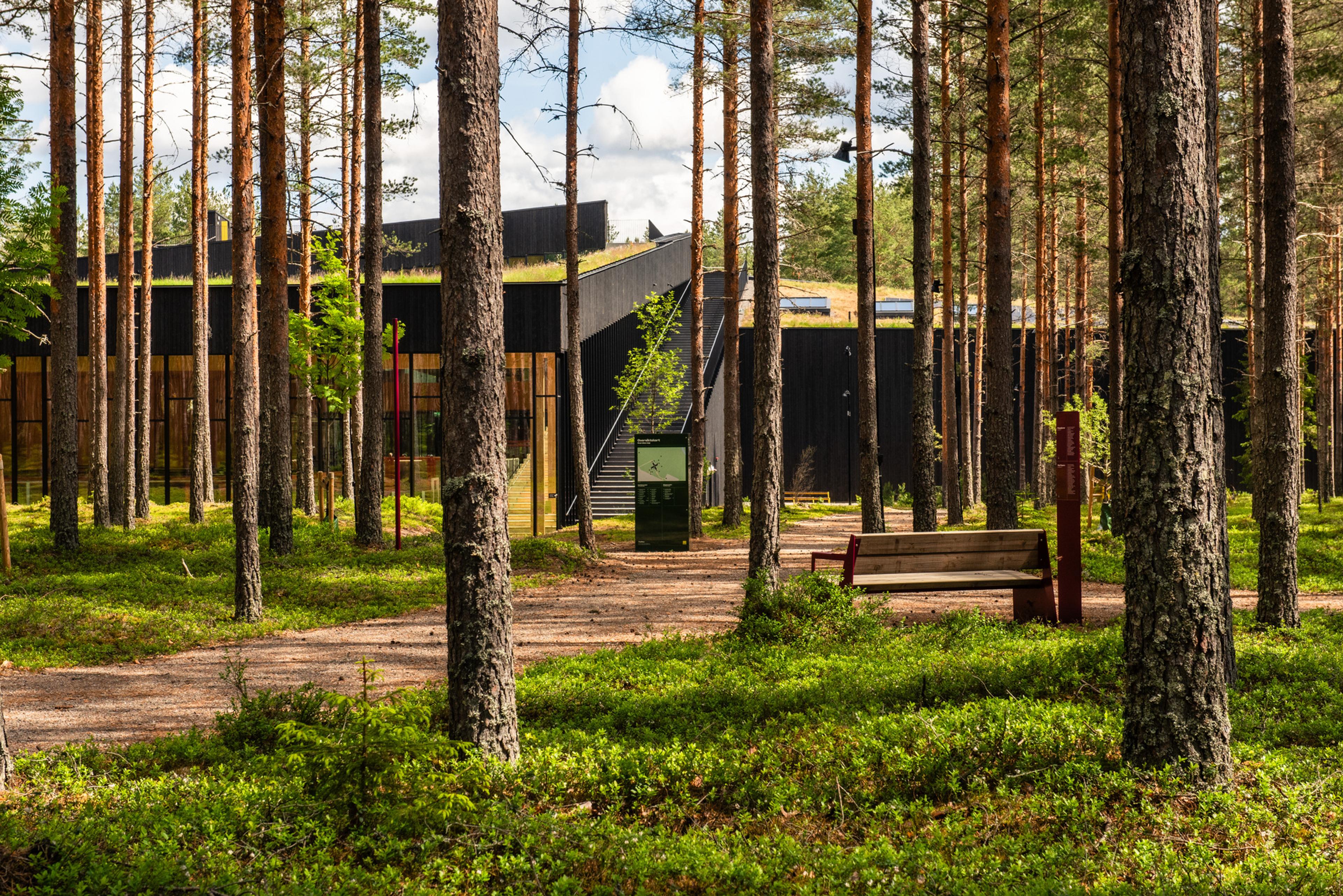 The_Plus_VES_17934_Foto_Nicolas_Tourrenc (1)