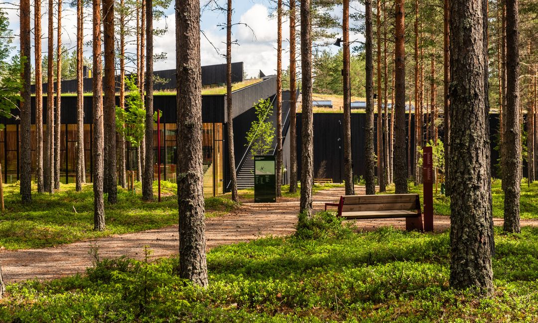 The_Plus_VES_17934_Foto_Nicolas_Tourrenc (1)