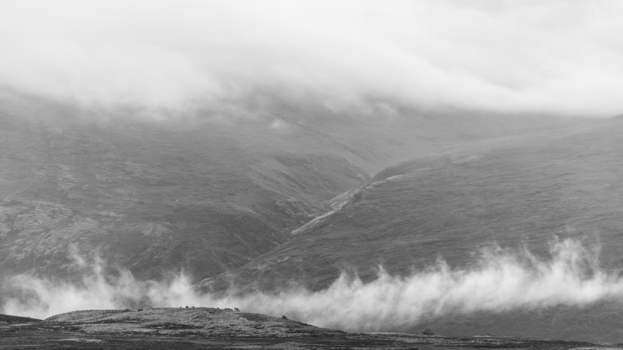 Moskussafari m/personlig guide, 2 dager