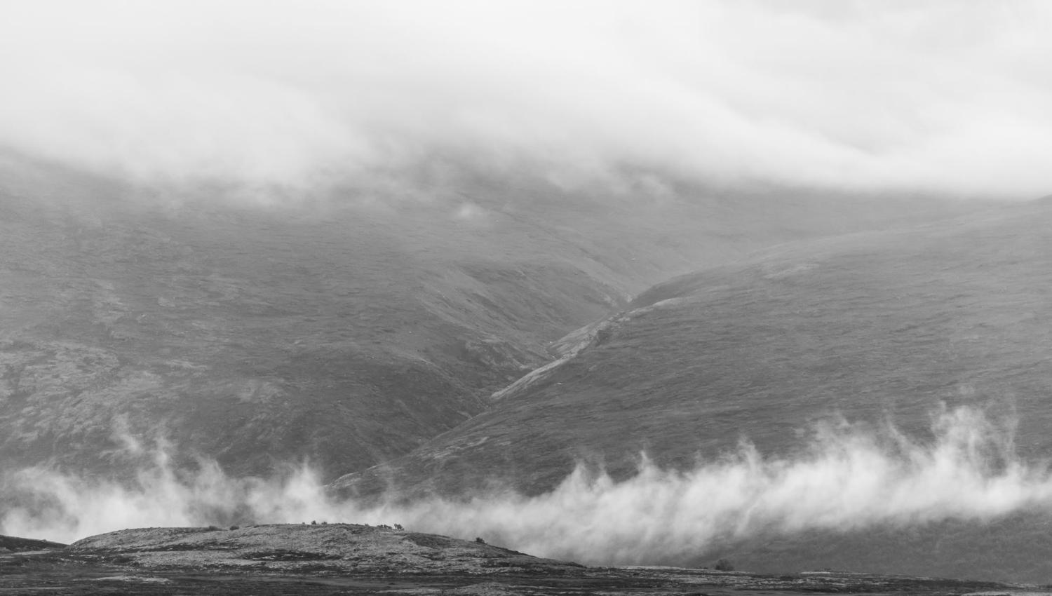 Moskussafari m/personlig guide, 2 dager