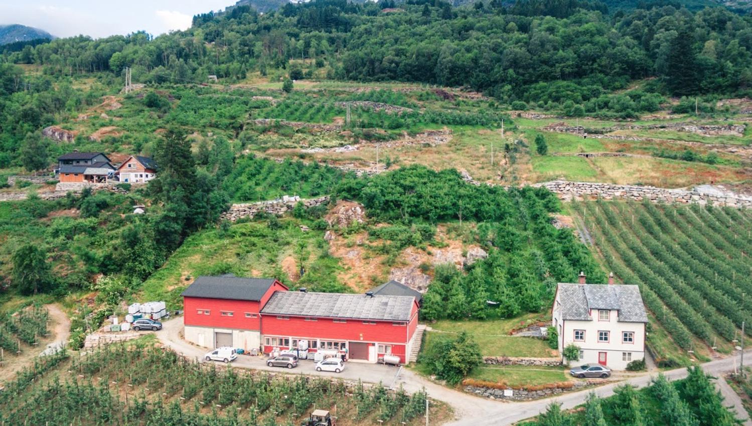 Oversiktsbilde av eit fruktgard med produksjonsbygningar i Hardanger, omkransa av fjordlandskap.