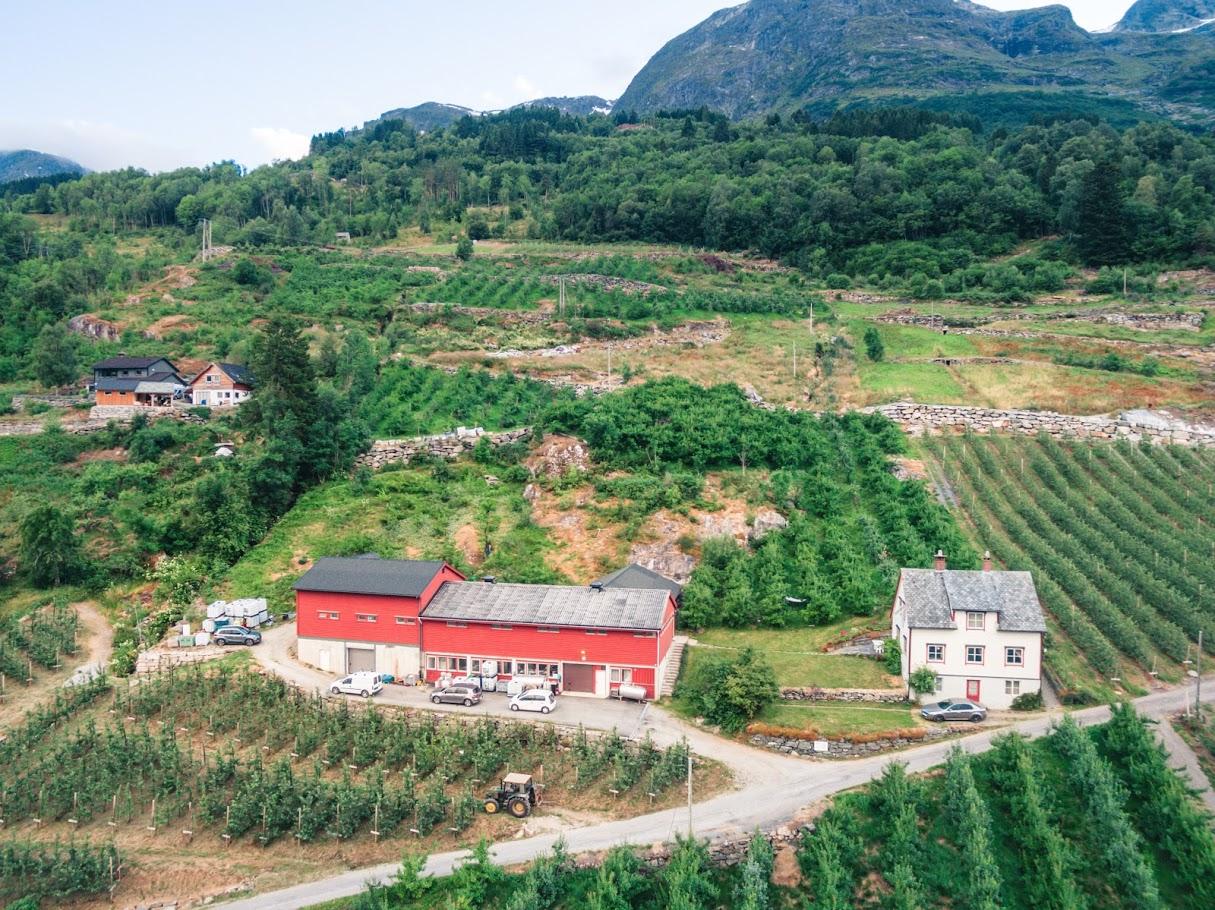 Oversiktsbilde av eit fruktgard med produksjonsbygningar i Hardanger, omkransa av fjordlandskap.