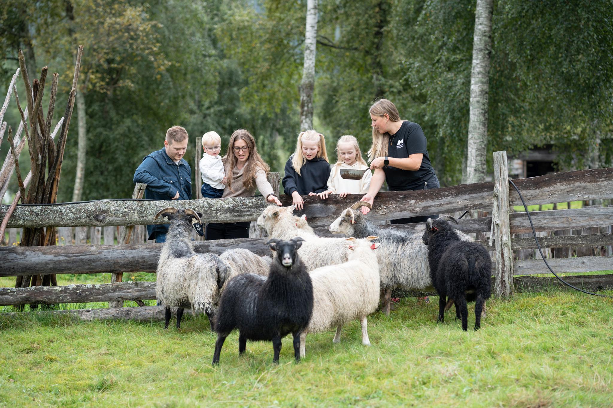 De Heibergske Samlinger - Sogn Folkemuseum