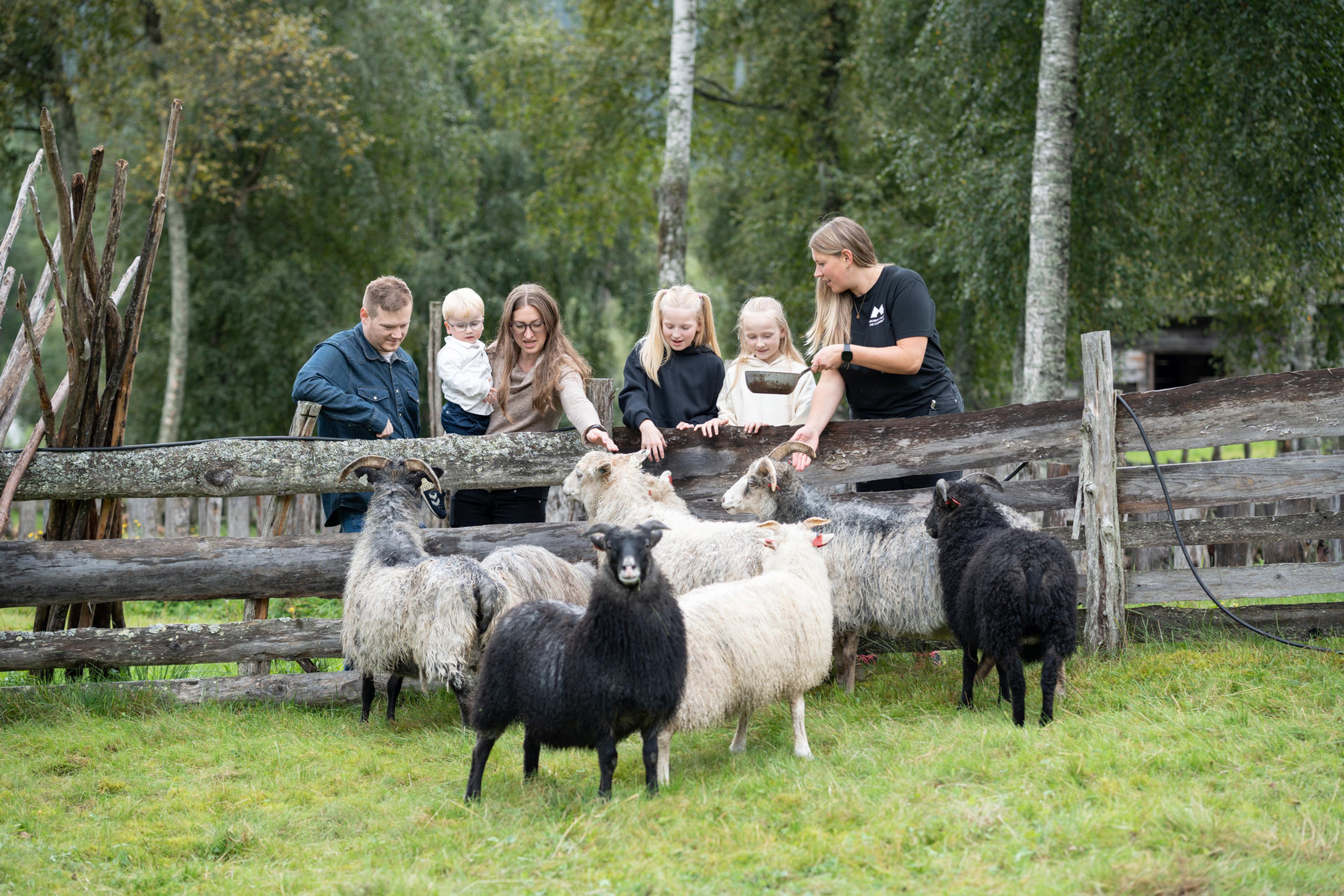 De Heibergske Samlinger - Sogn Folkemuseum