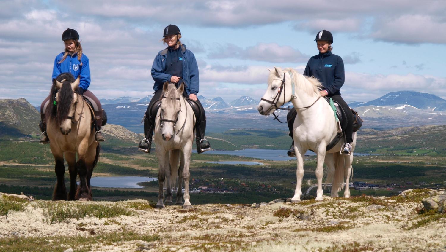 three riders and their horses facing the camera, in the mountains