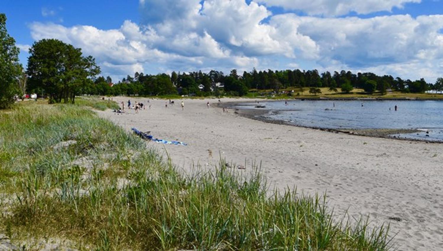 Strand