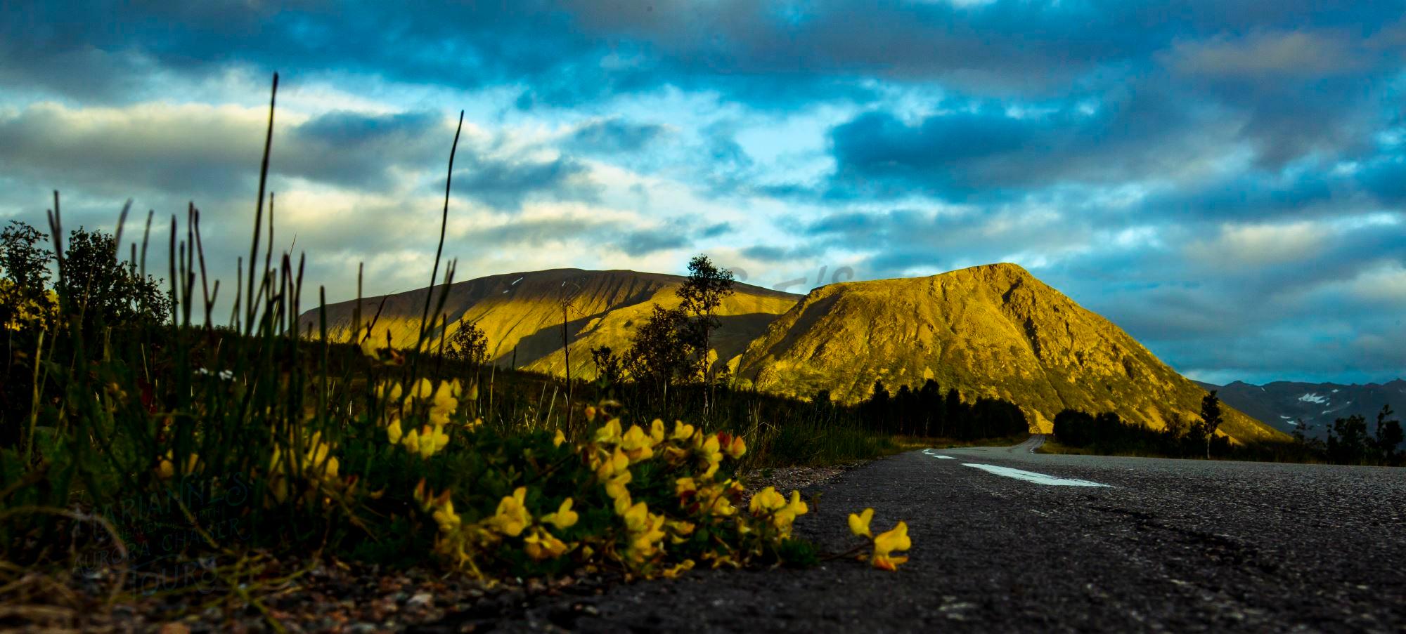 Marianne's Hiking tour