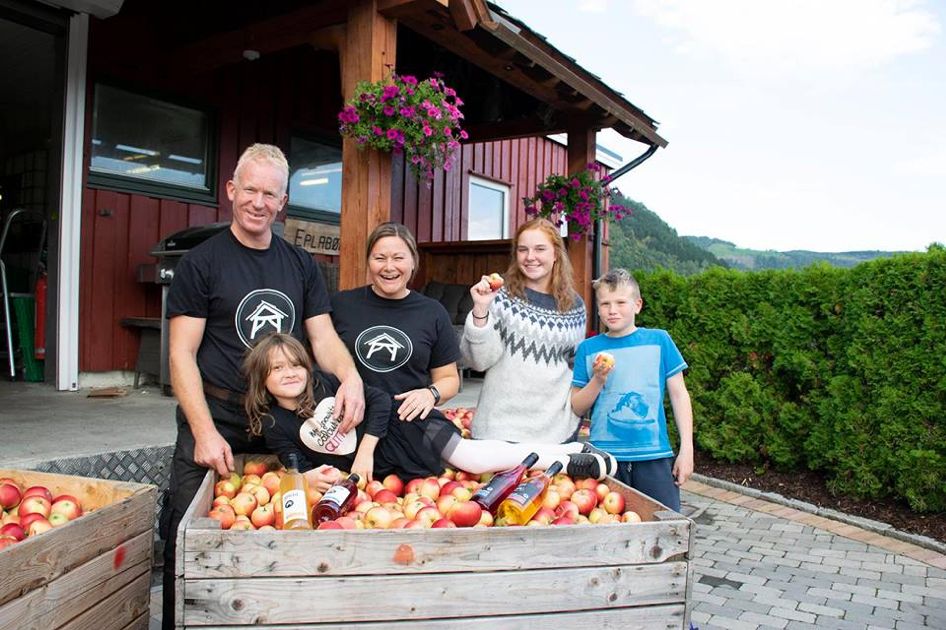 A family enjoys harvesting fresh apples at Spildegarden in Hardanger. Experience authentic Norwegian fruit traditions in the heart of the fjord landsc
