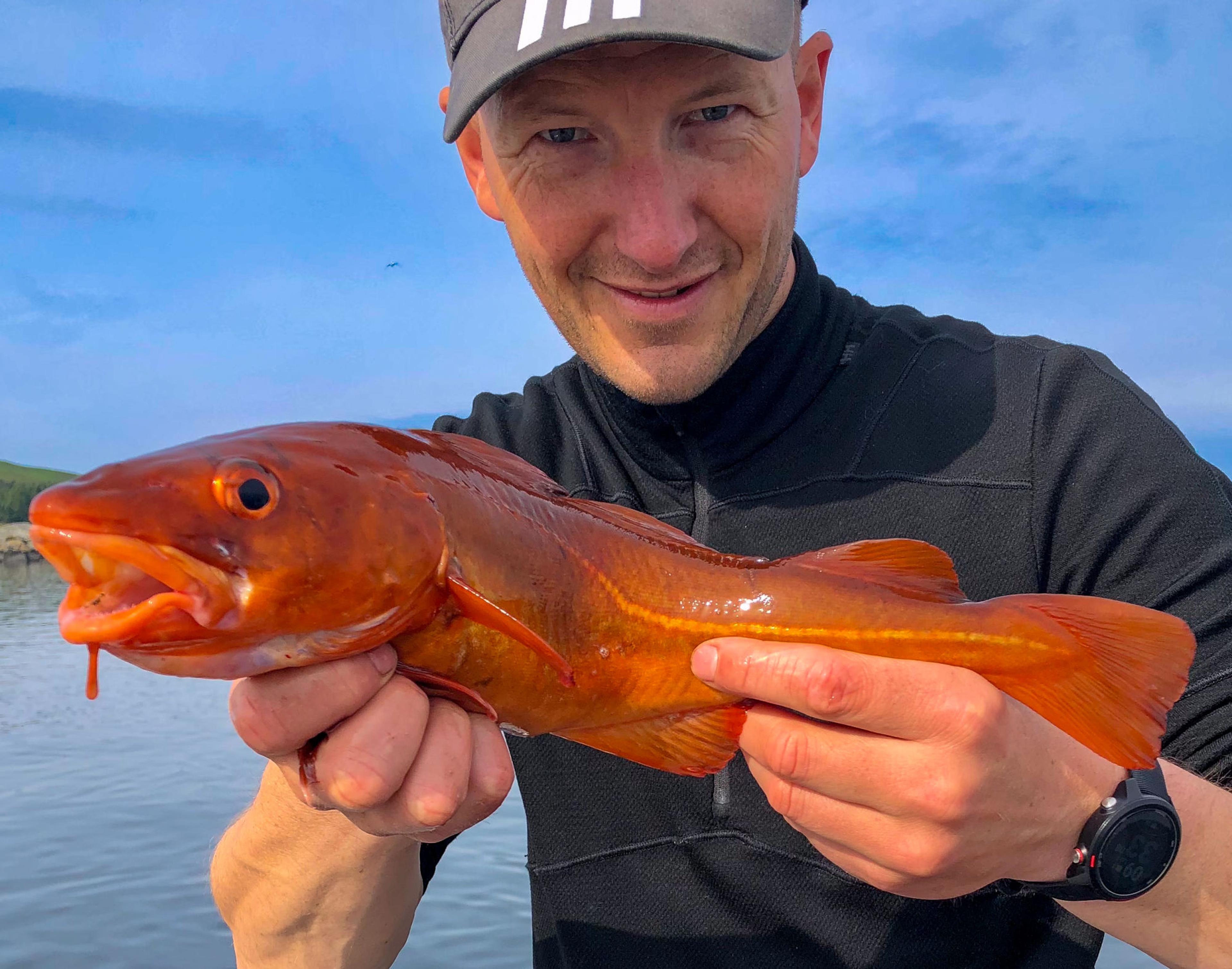 7-hour private fishing trip in Stavanger