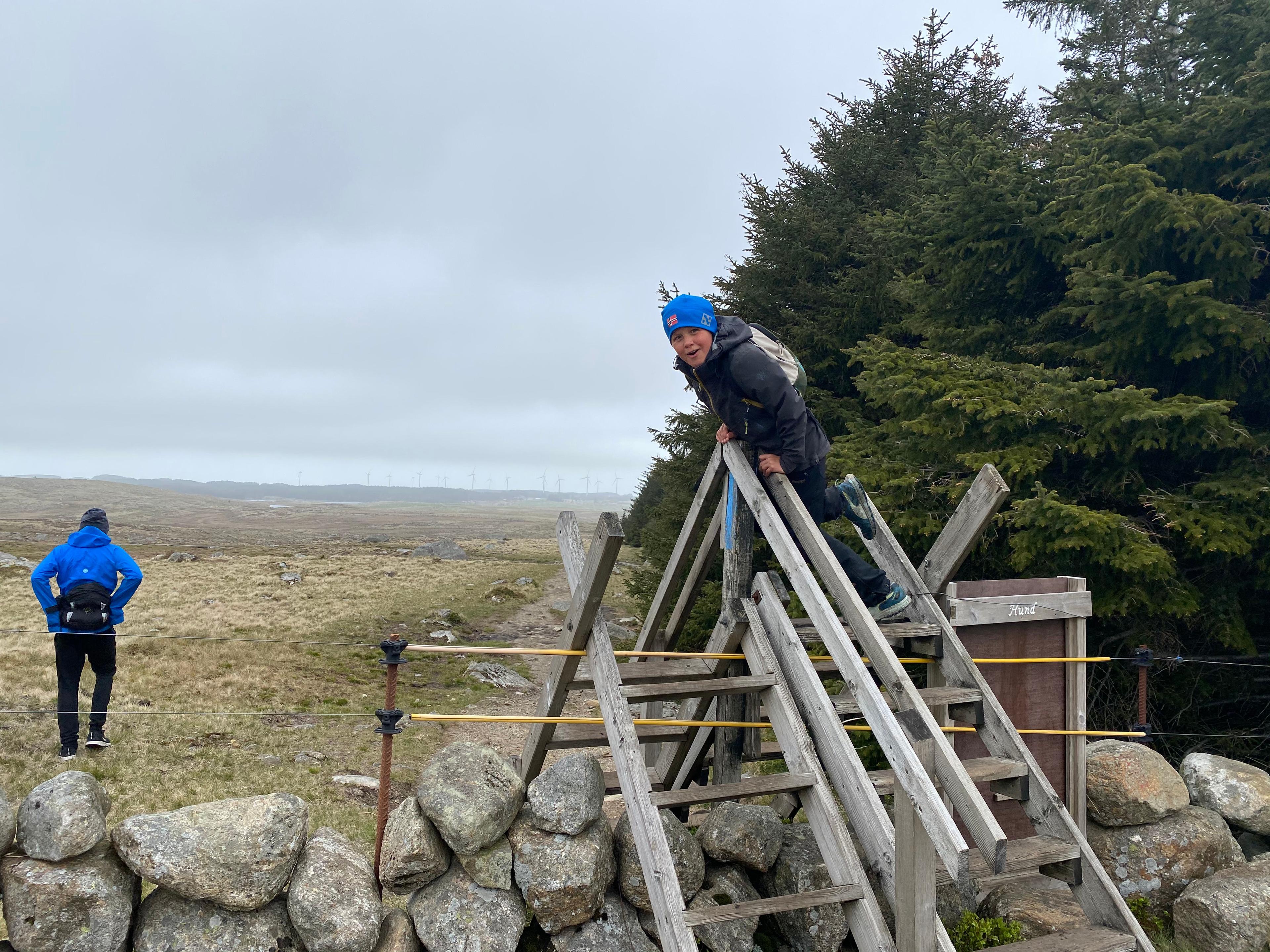 Mor Norge and Synesvarden