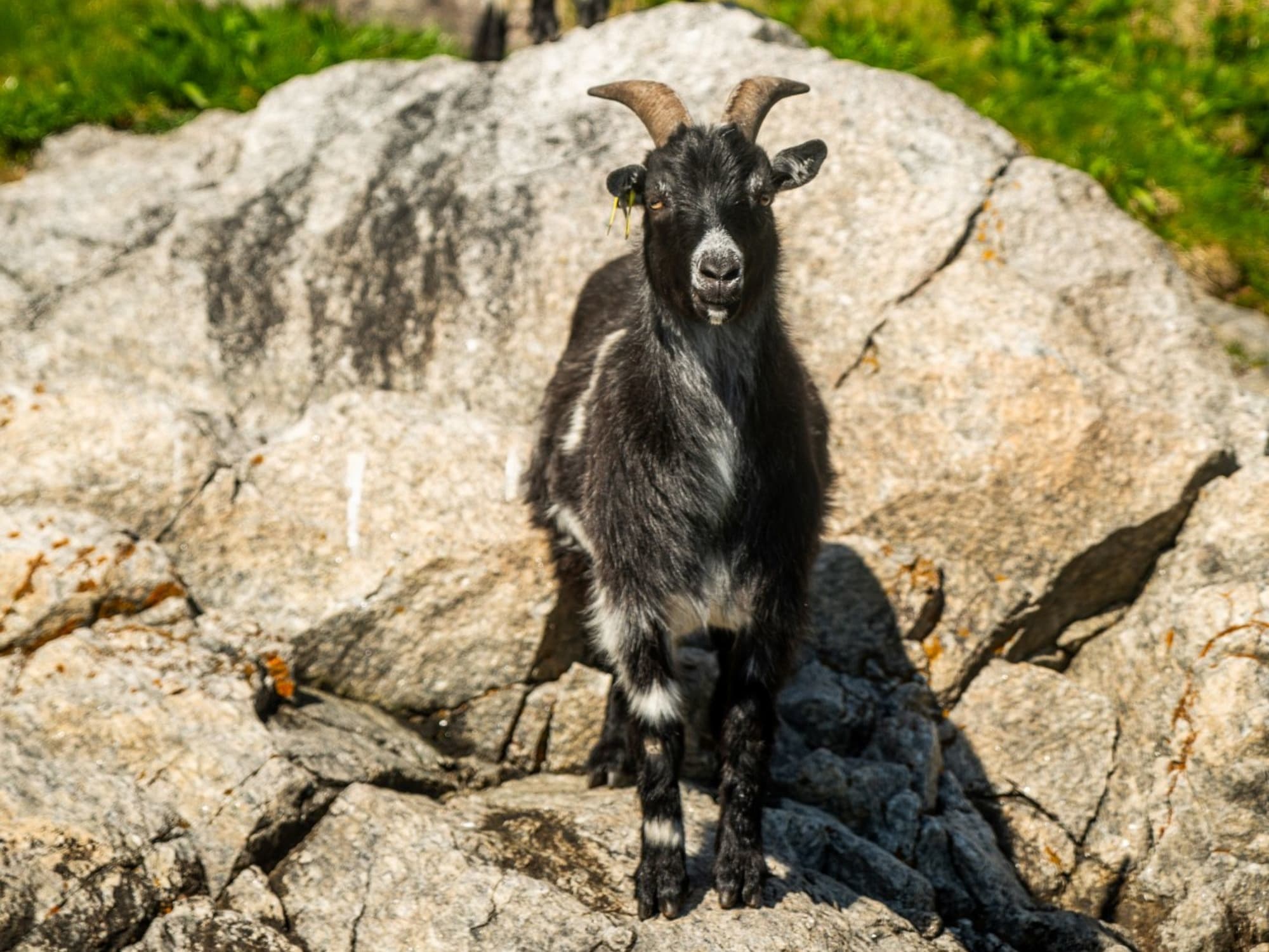 Fjord Xplore