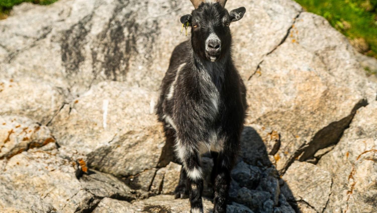 Fjord Xplore
