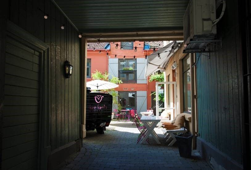 Bakgård