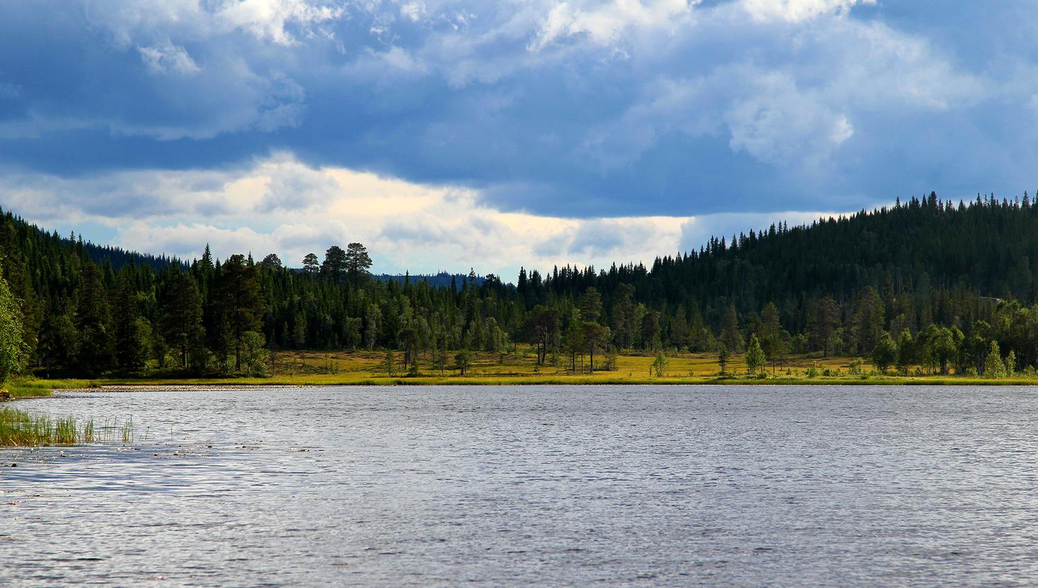 Roktsjøen i Snåsa