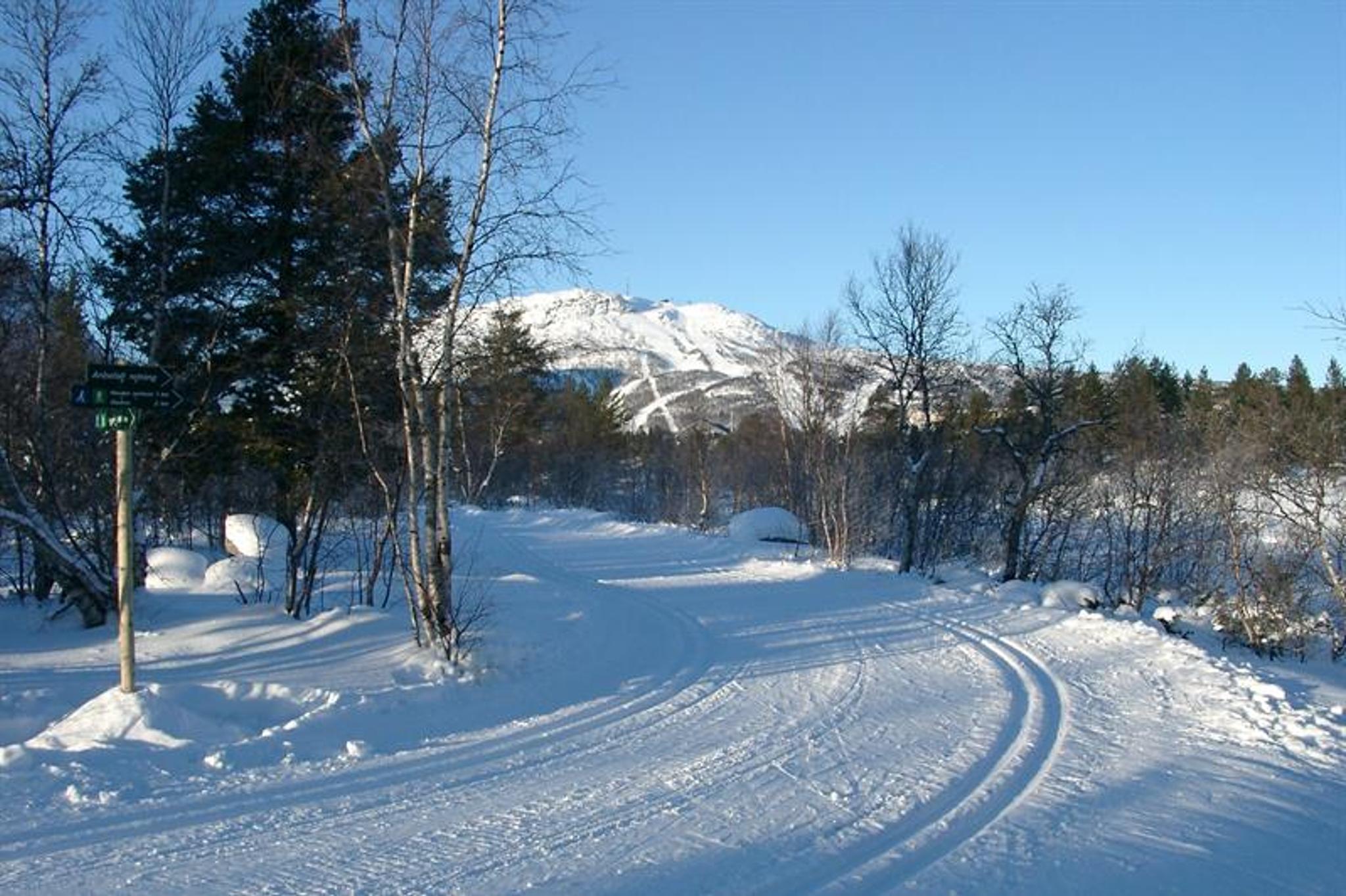 Skispor på Hovden, bilde.