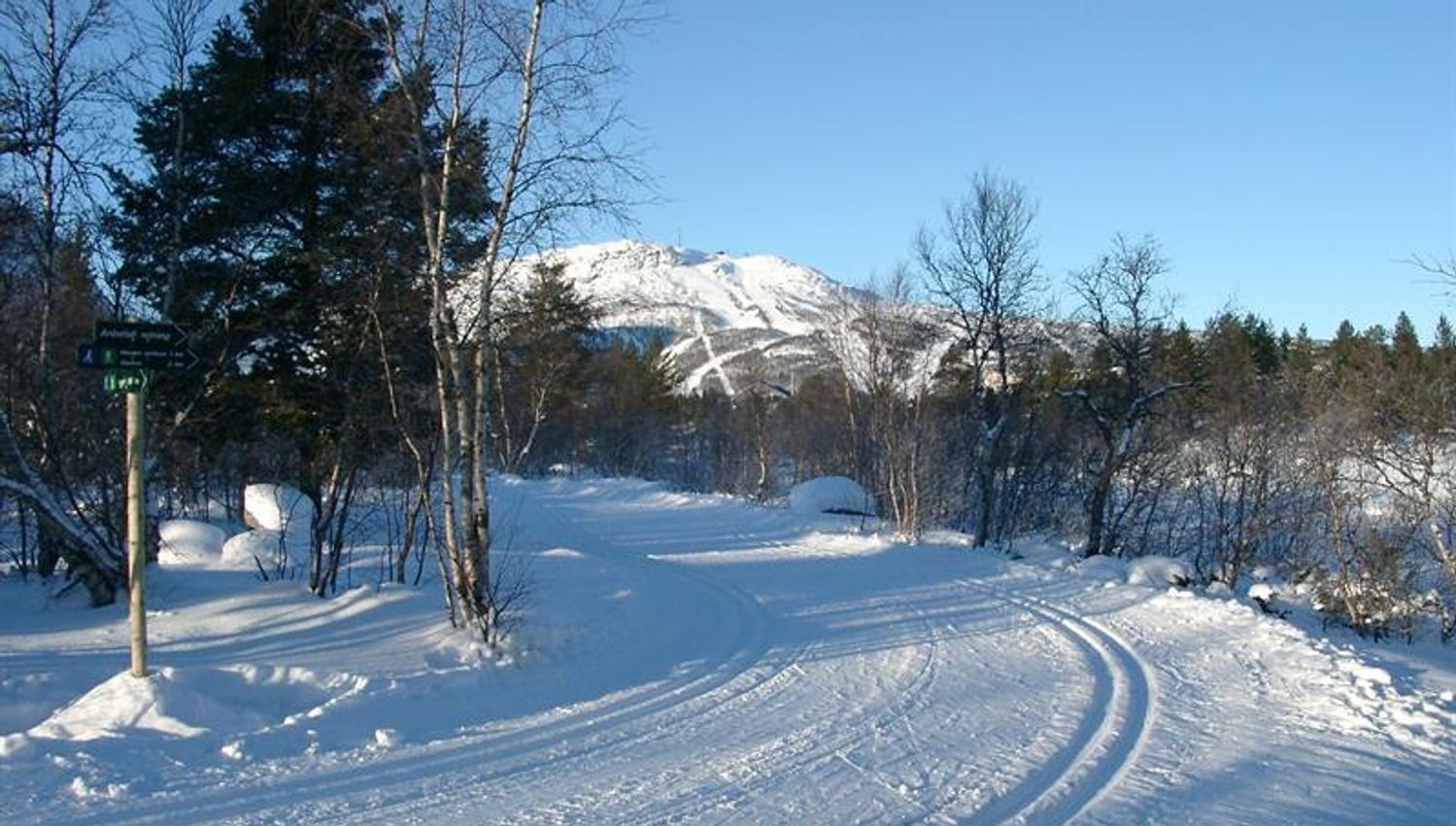 Skispor på Hovden, bilde.
