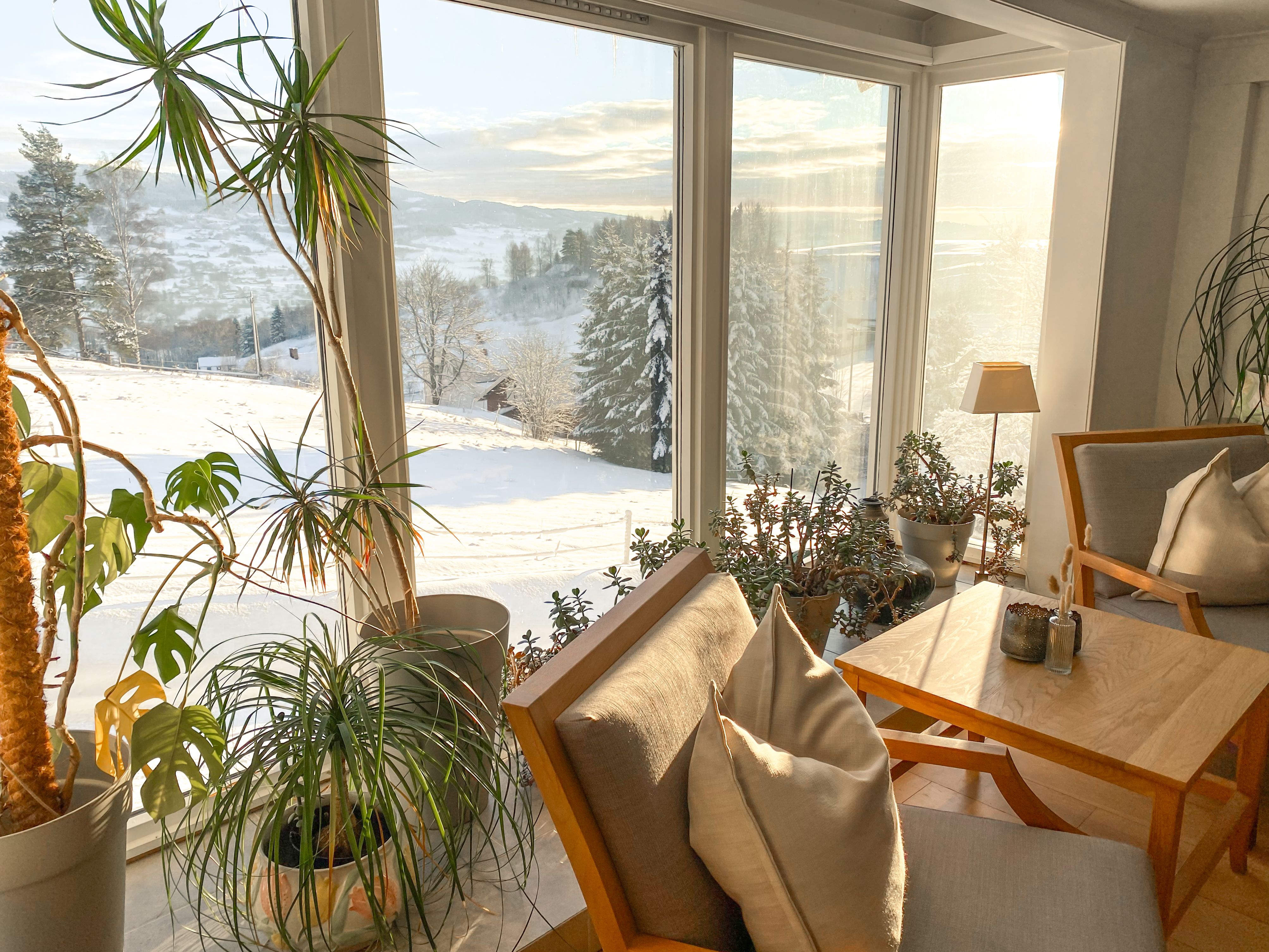 Sanner Hotell - Vinter i vinduet