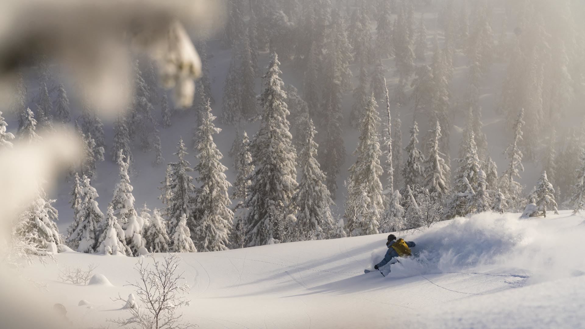 Vassfjellet Winter Park