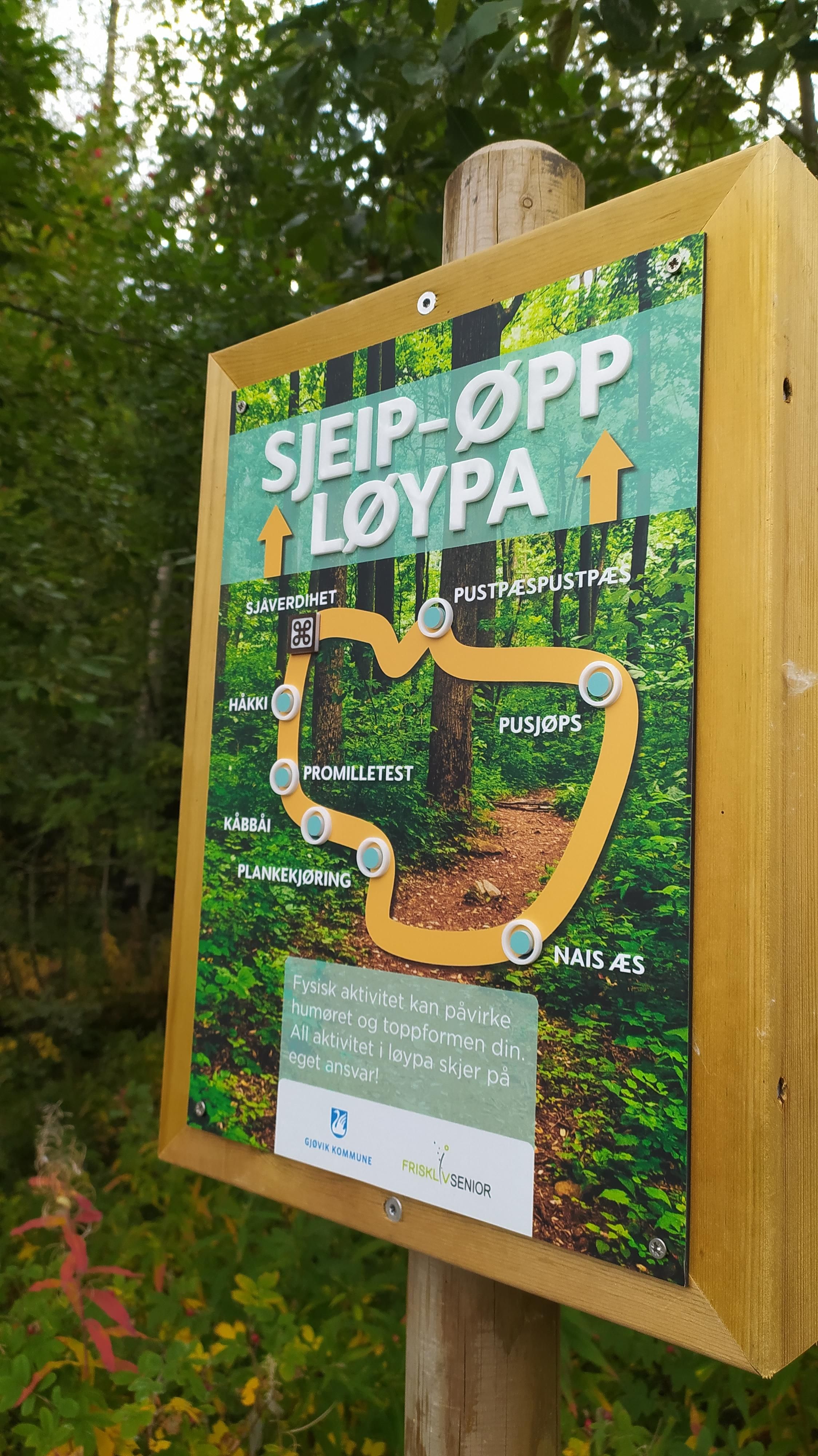 Sjeip-øpp løypa på Øverby i Gjøvik.