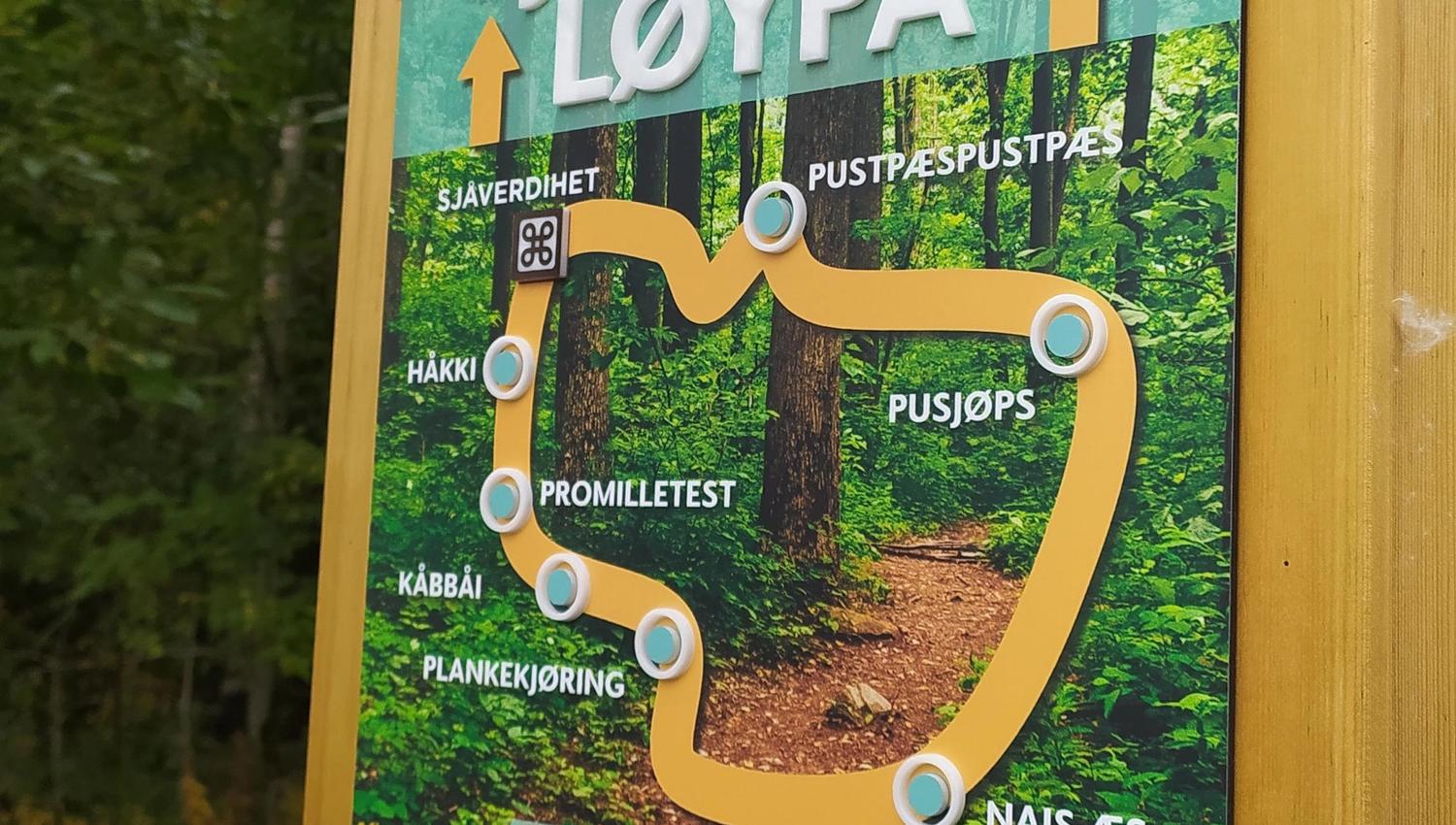 Sjeip-øpp løypa på Øverby i Gjøvik.