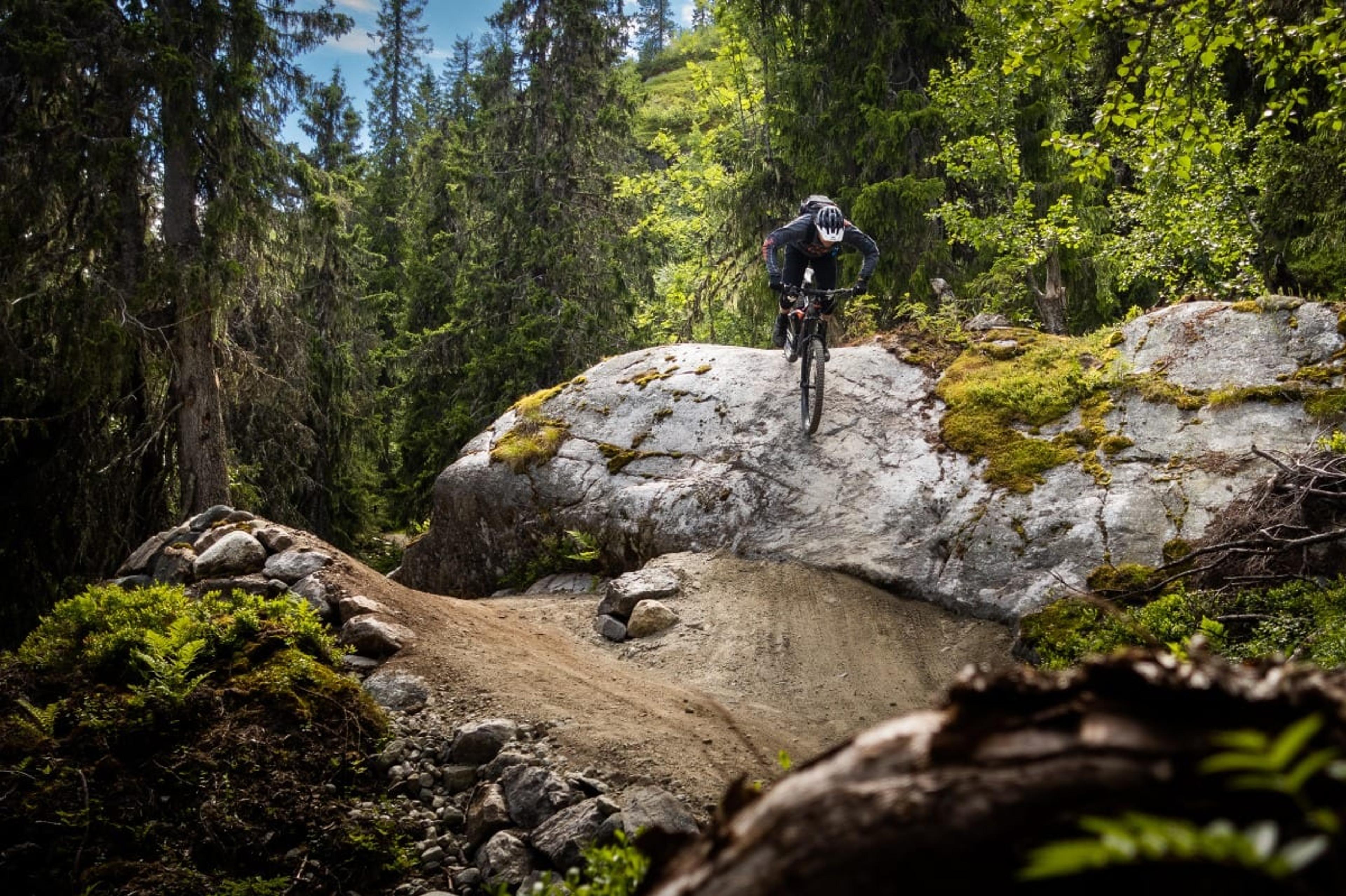 Forkbeard (Trailguide)