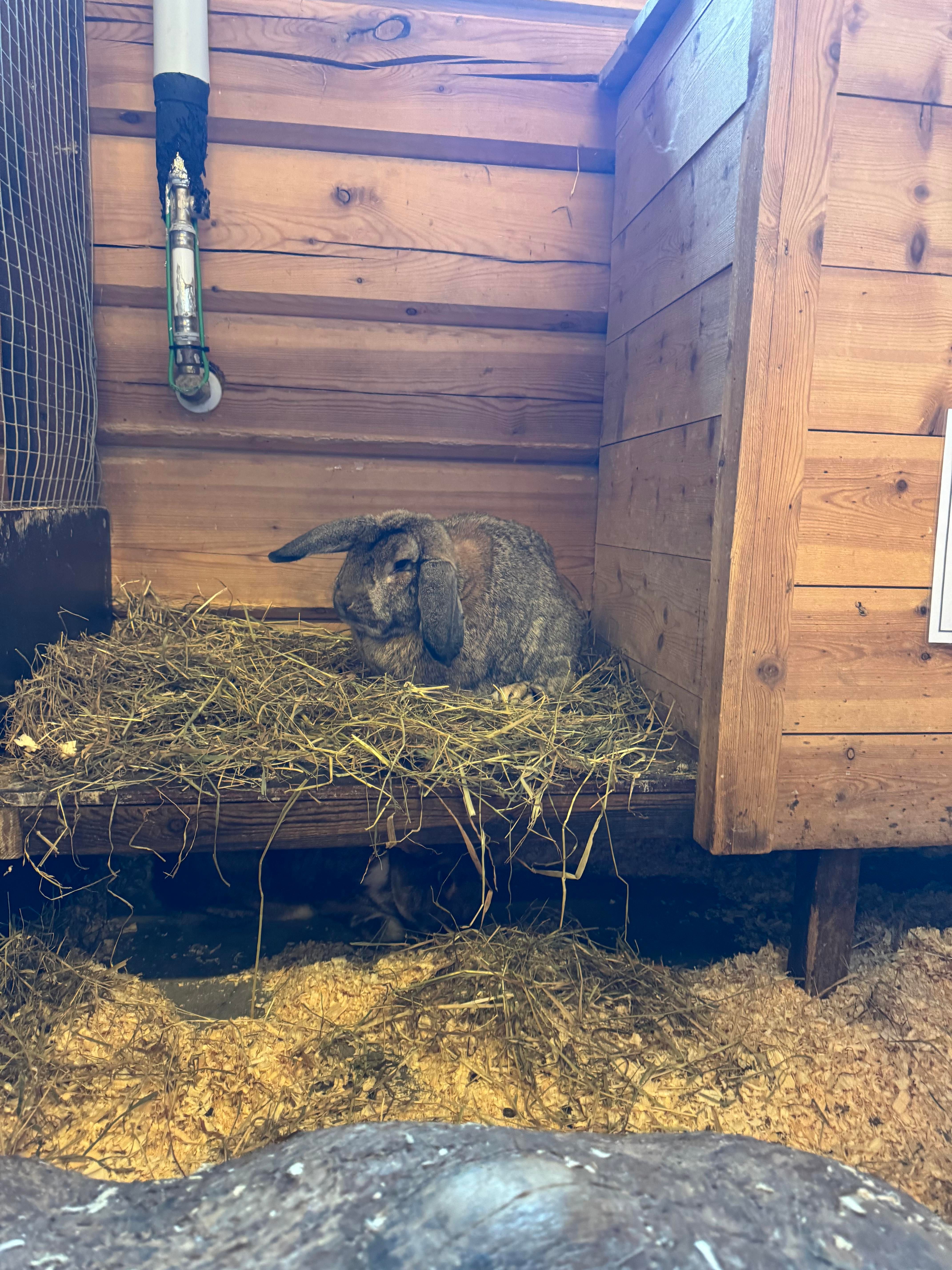 Bilde 29.07.2024, 12 25 12