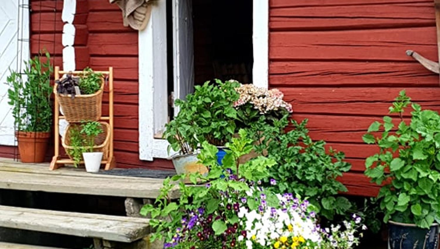 Rødt stabbur