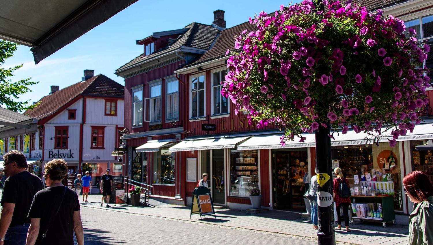 From the pedestrian street in Lillehammer, summer