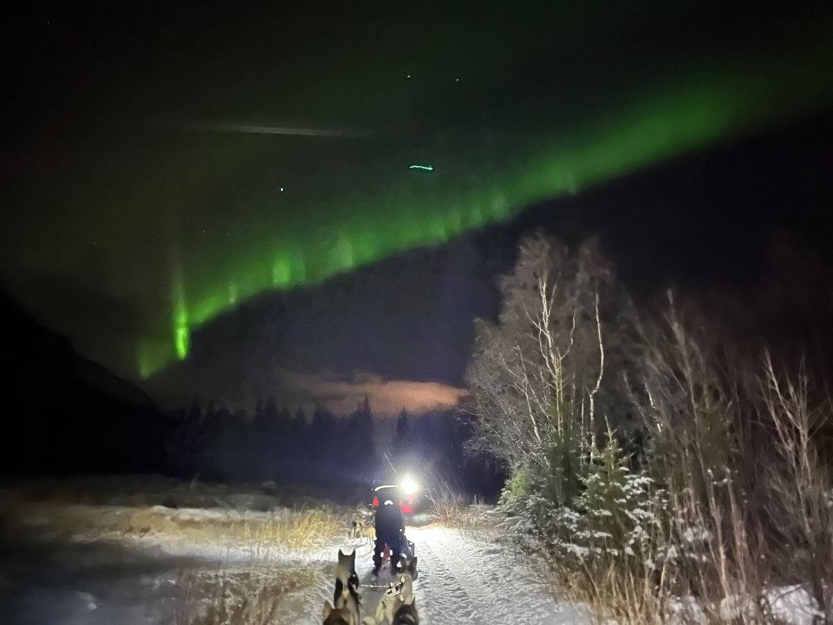 Hundekjøring i vakre Skibotndalen kveldstur