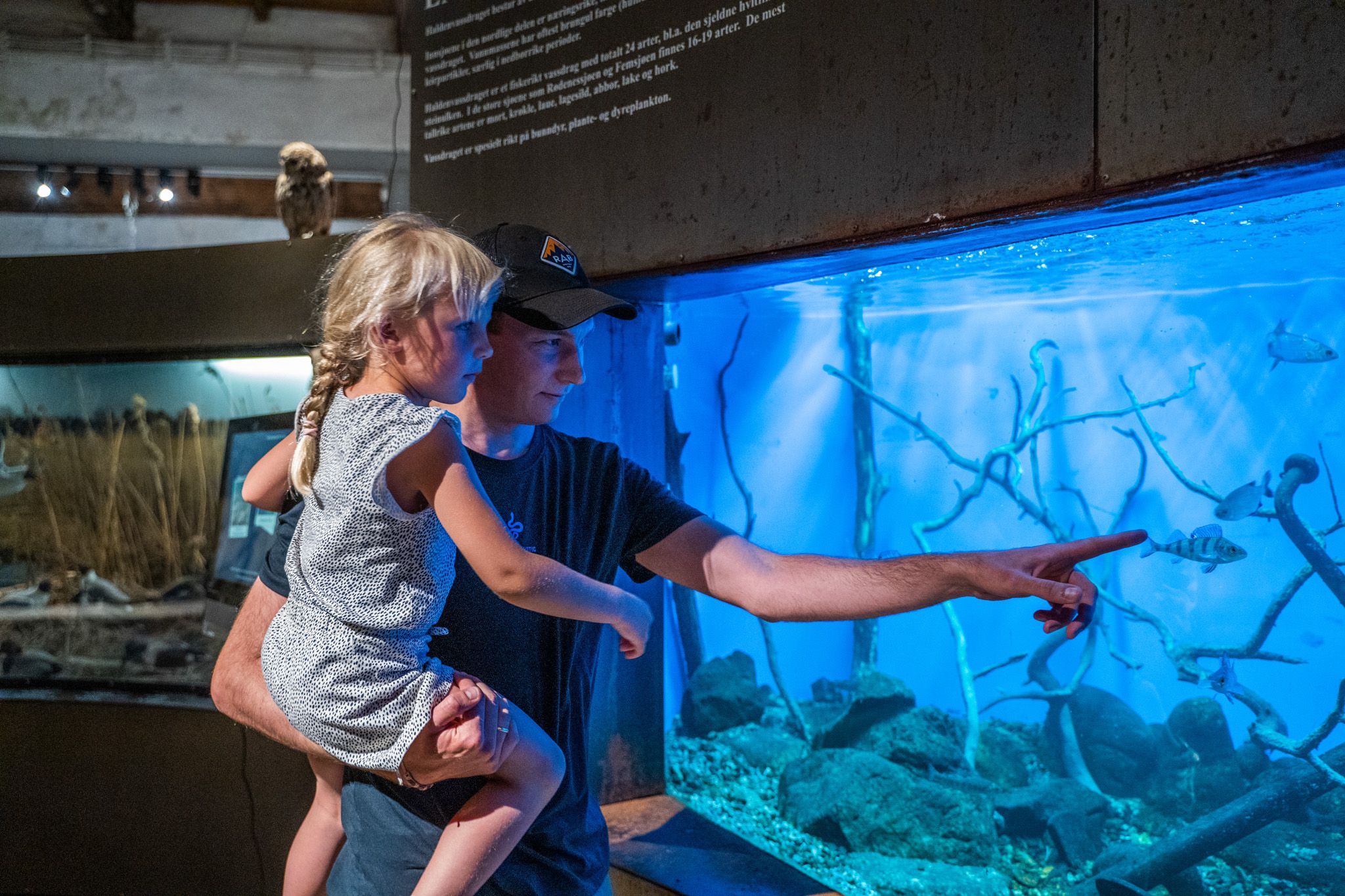 Bildet viser en mann som holder en liten jente mens de ser på fisk i et stort akvarium. Mannen peker på en fisk, og jenta ser dit han peker. Bak glasset svømmer fisk i blått vann med steiner og greiner på bunnen.