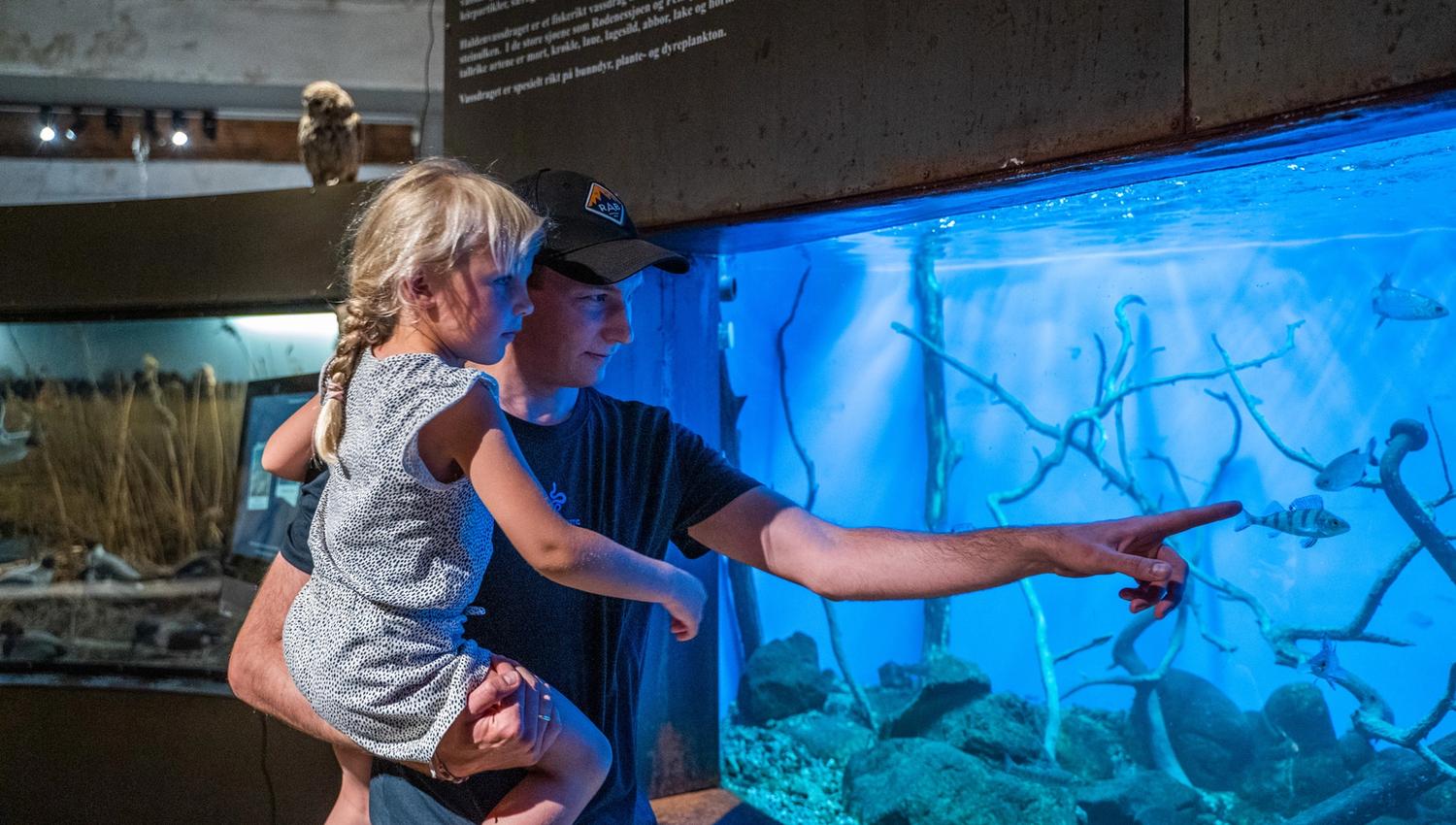Bildet viser en mann som holder en liten jente mens de ser på fisk i et stort akvarium. Mannen peker på en fisk, og jenta ser dit han peker. Bak glasset svømmer fisk i blått vann med steiner og greiner på bunnen.