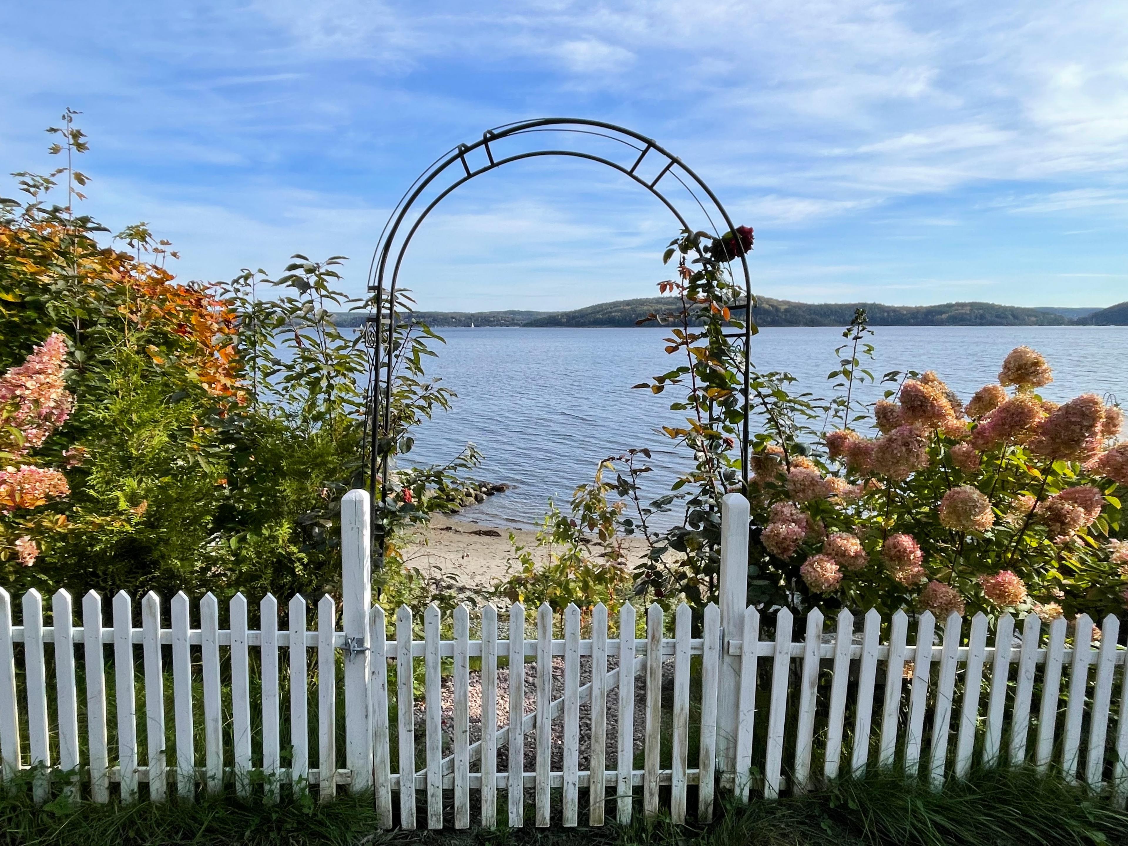 Hvitt gjerde og blomster