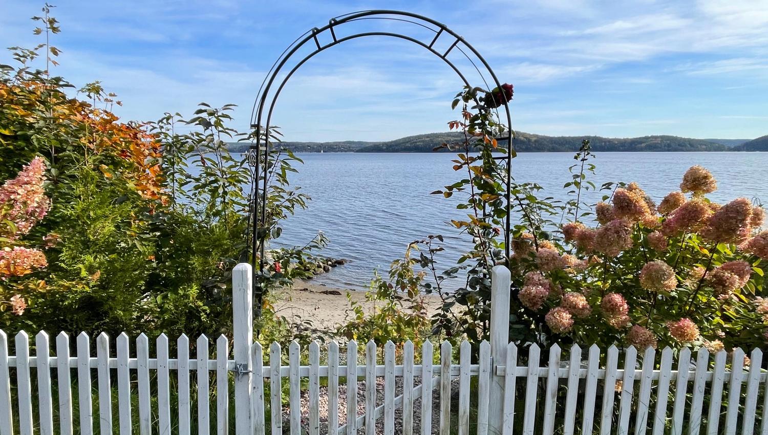 Hvitt gjerde og blomster