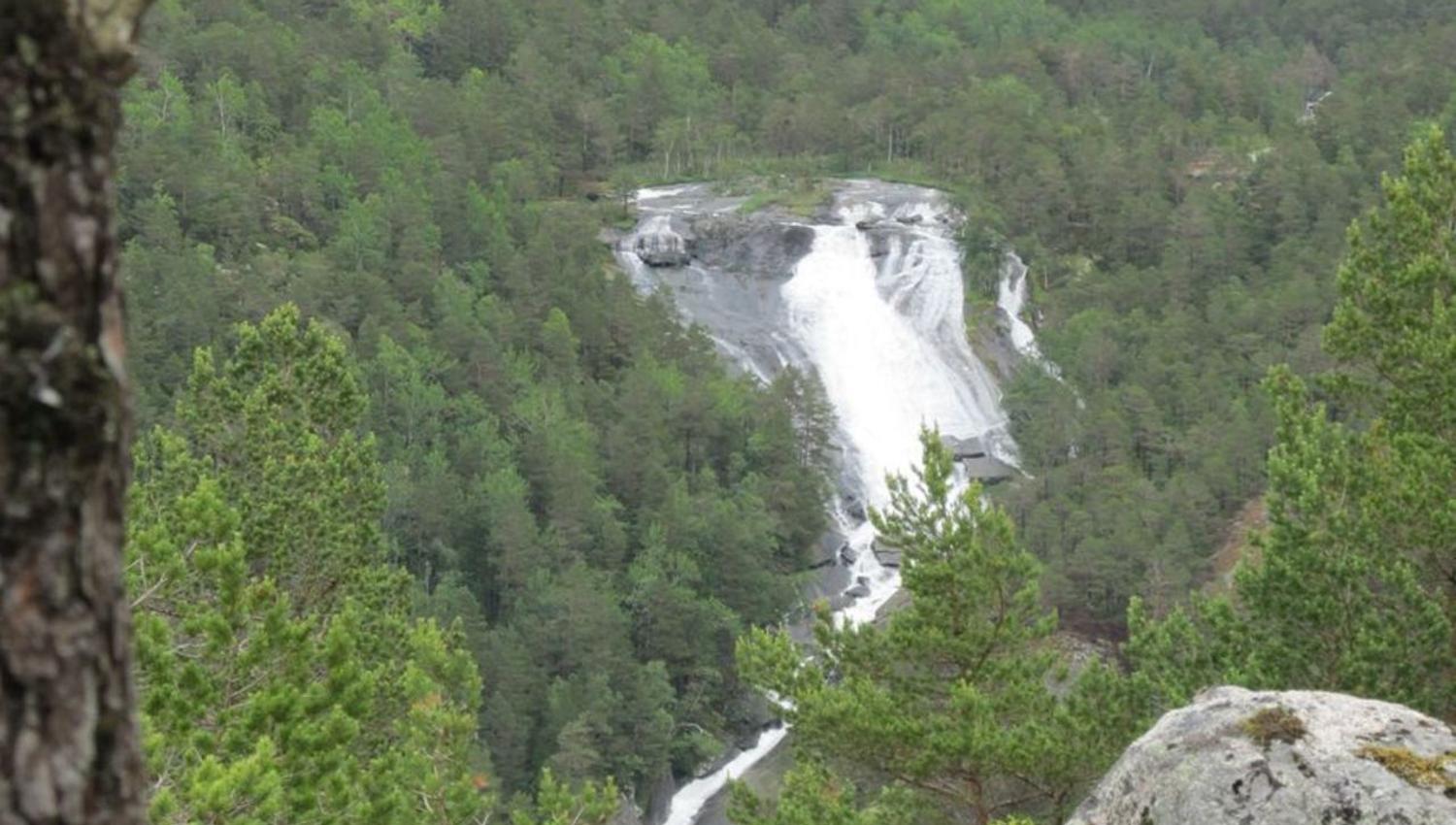 fossen Steinar smith