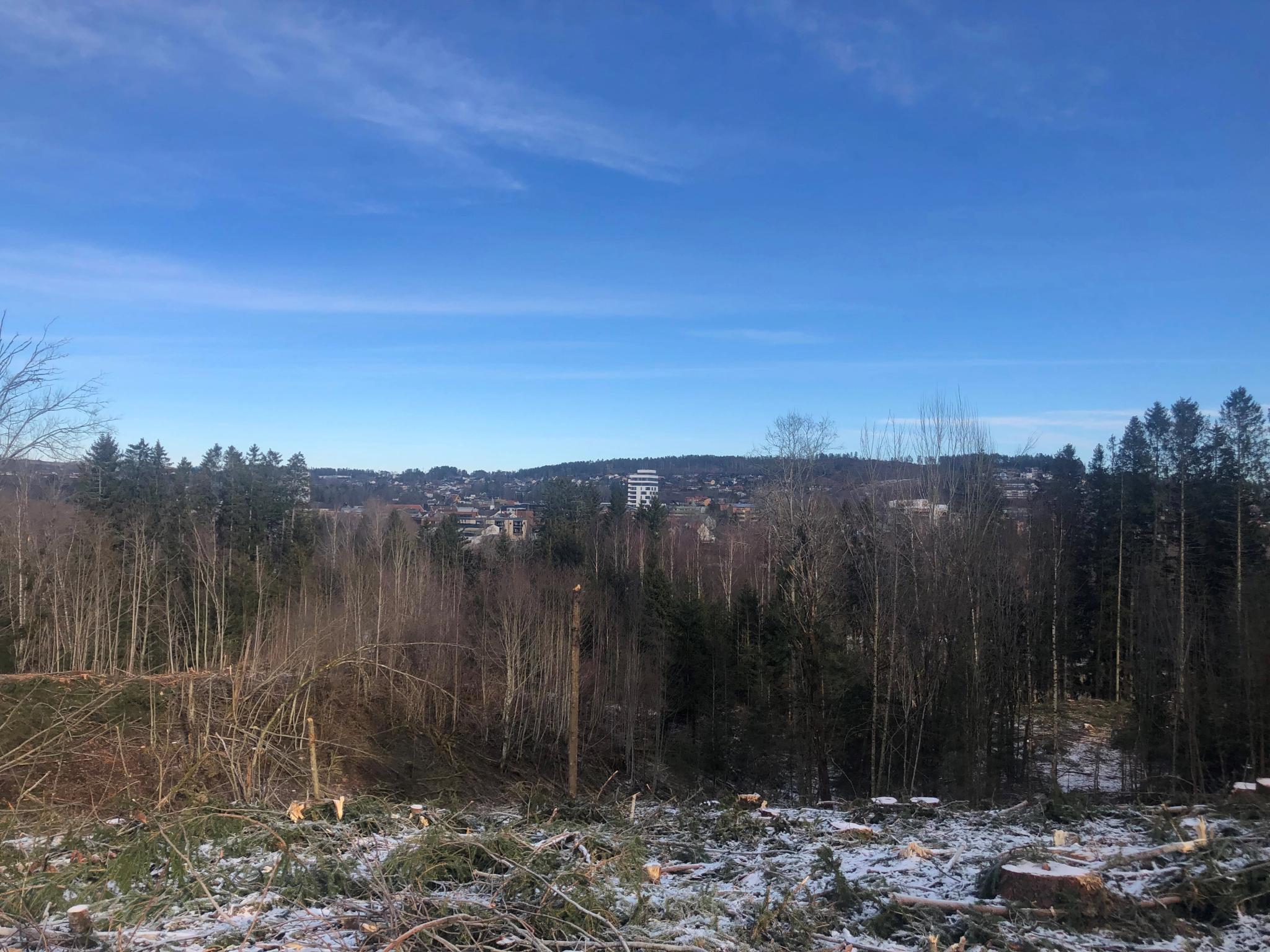 Oversikt skogrydding